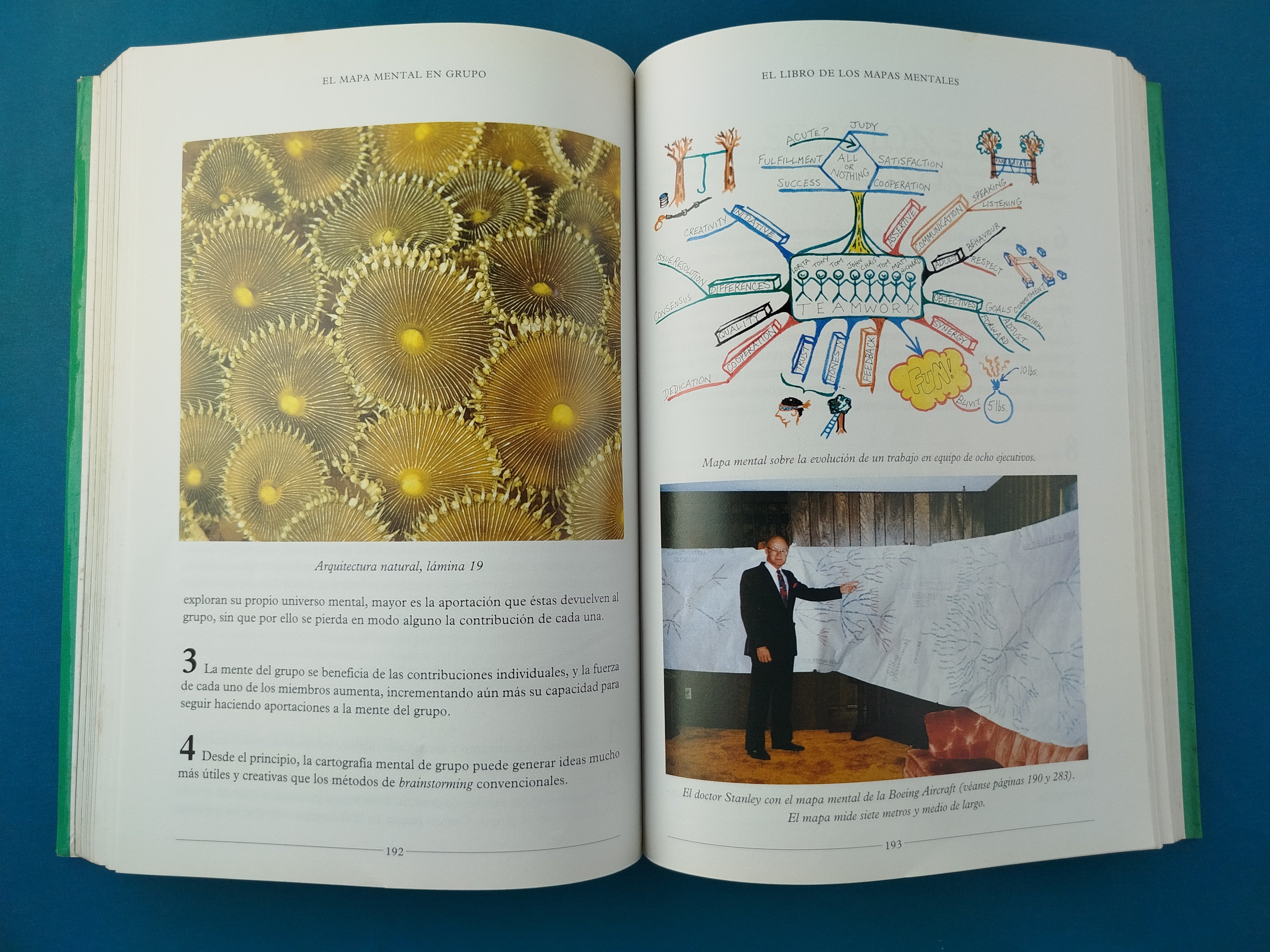 El Libro de los Mapas Mentales - Image 3