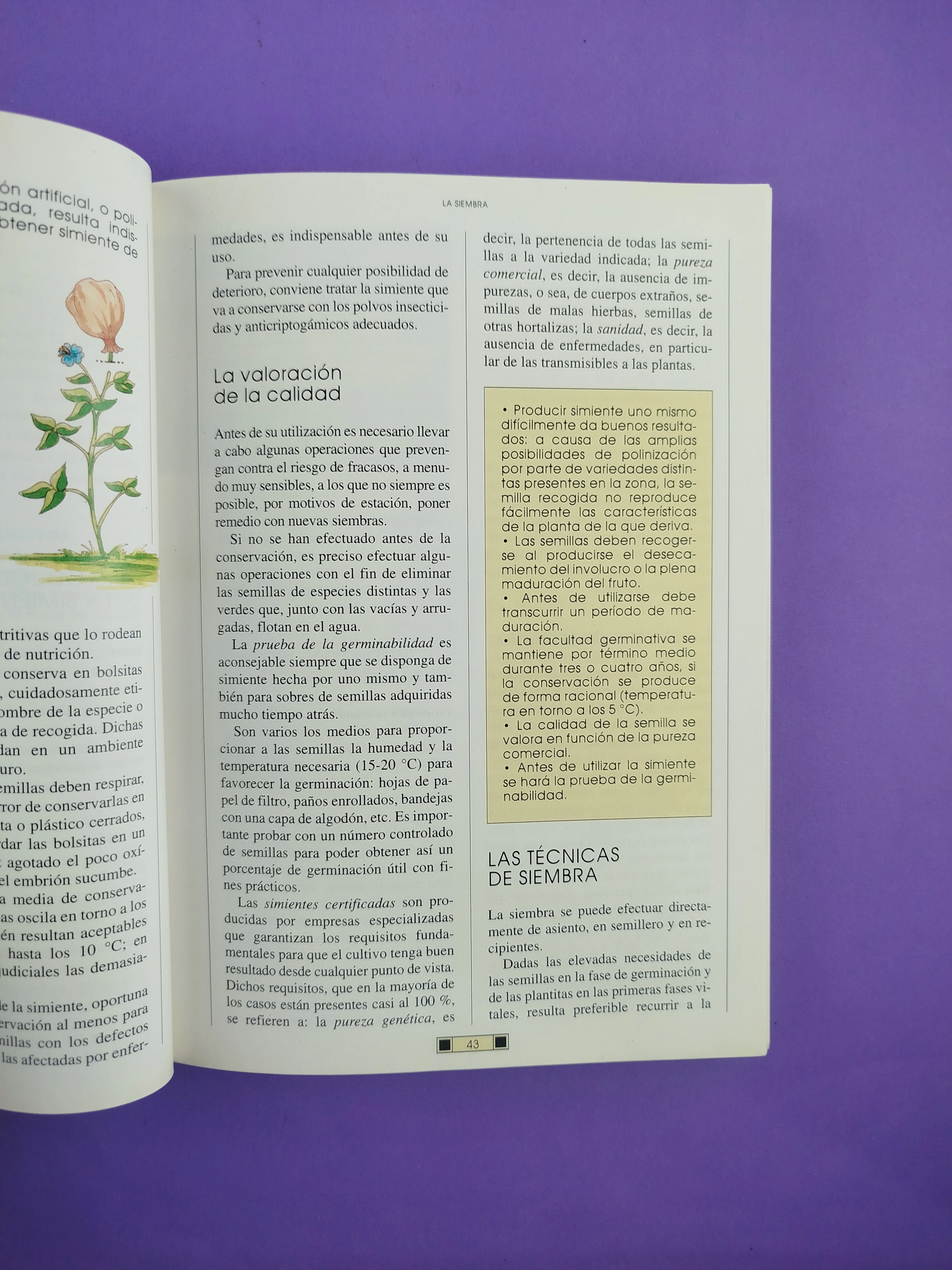 El Libro Del Jardín - Image 2