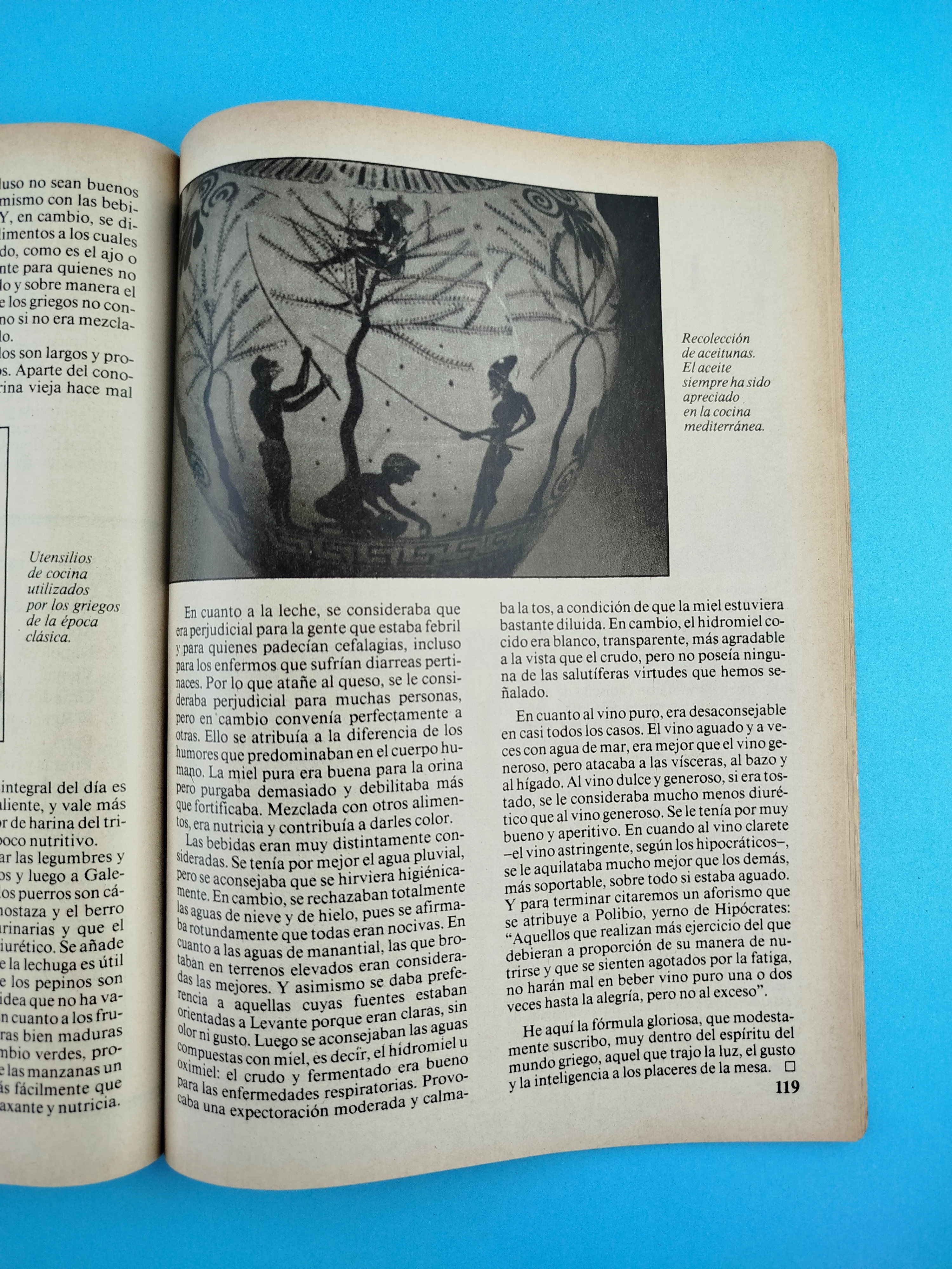 El Mundo Clásico Grecia - Image 3