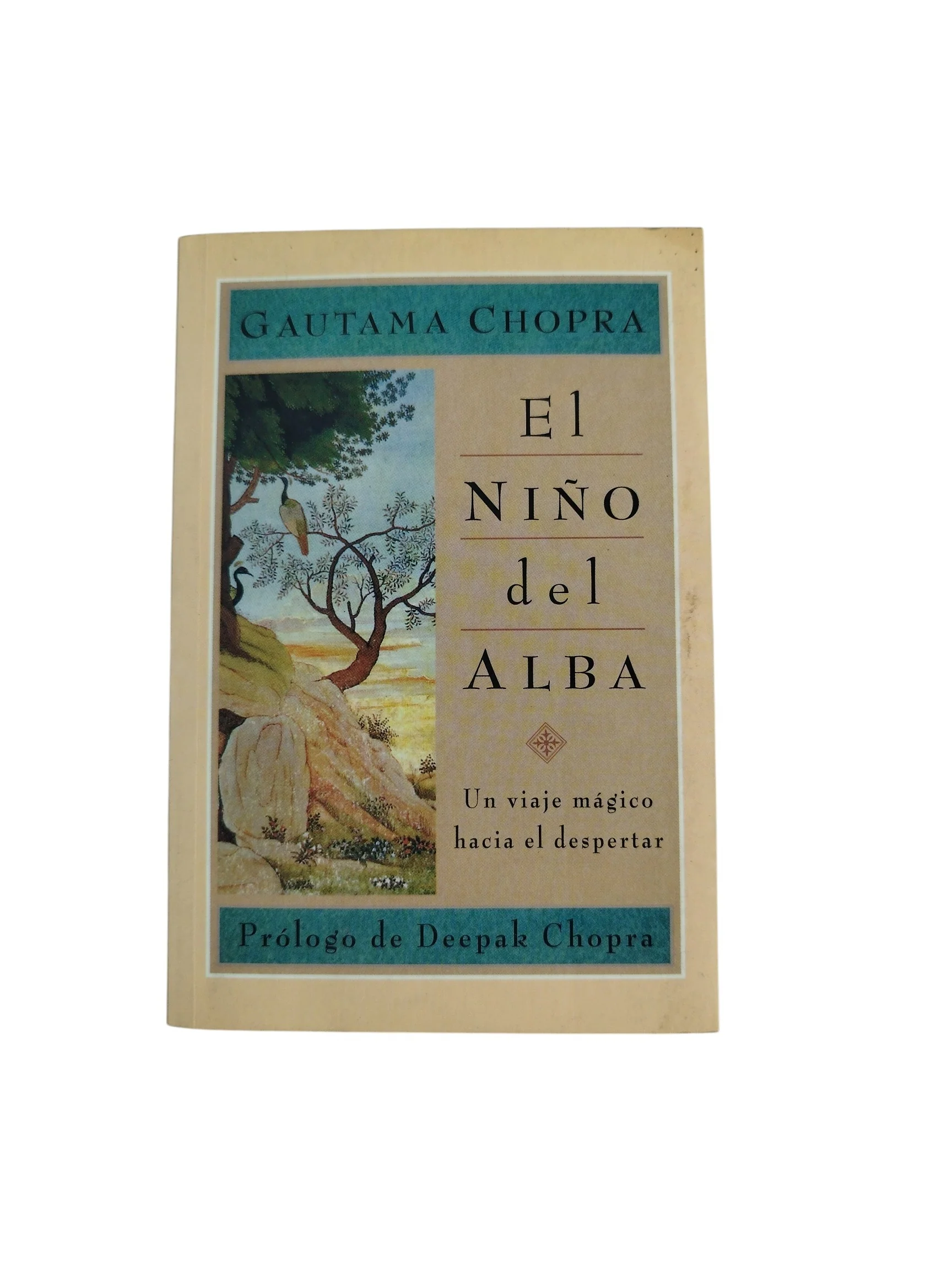 El niño del alba