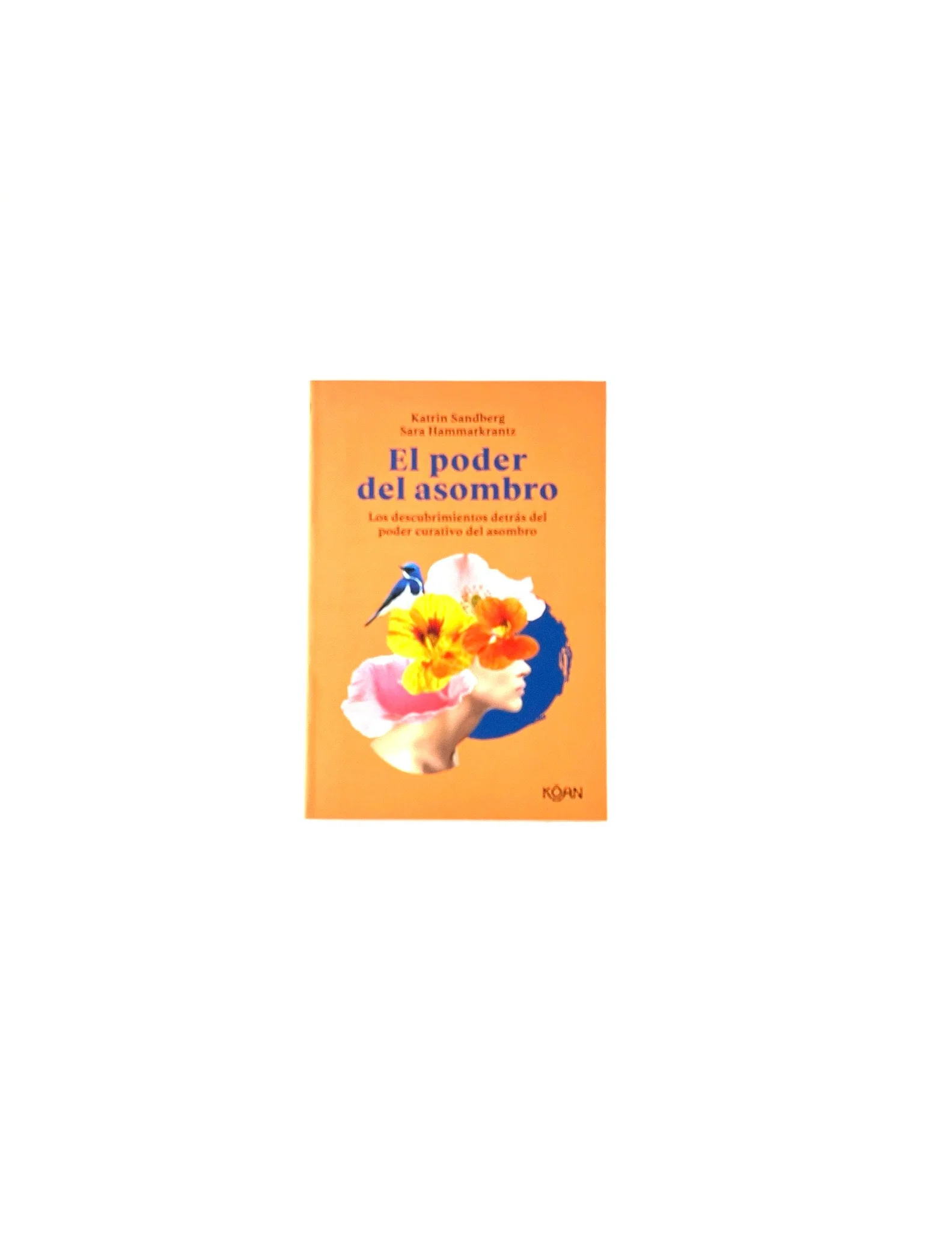 El poder del asombro