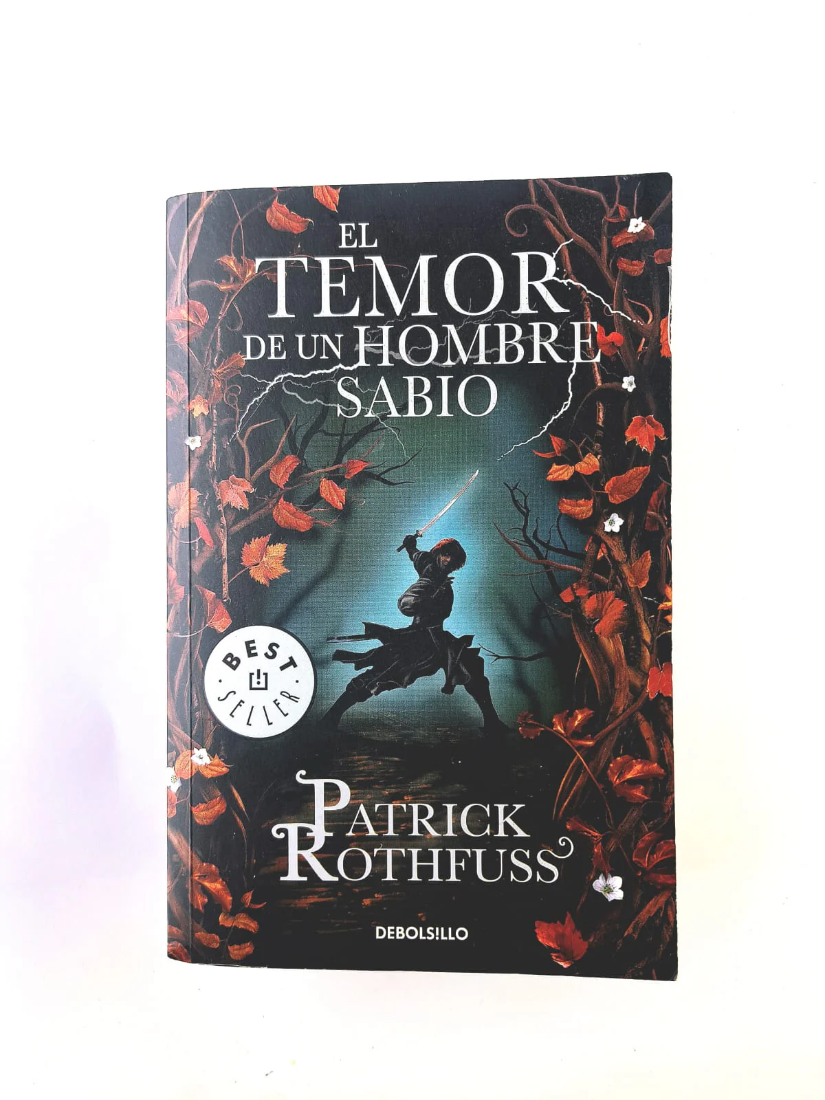 El temor de un hombre sabio