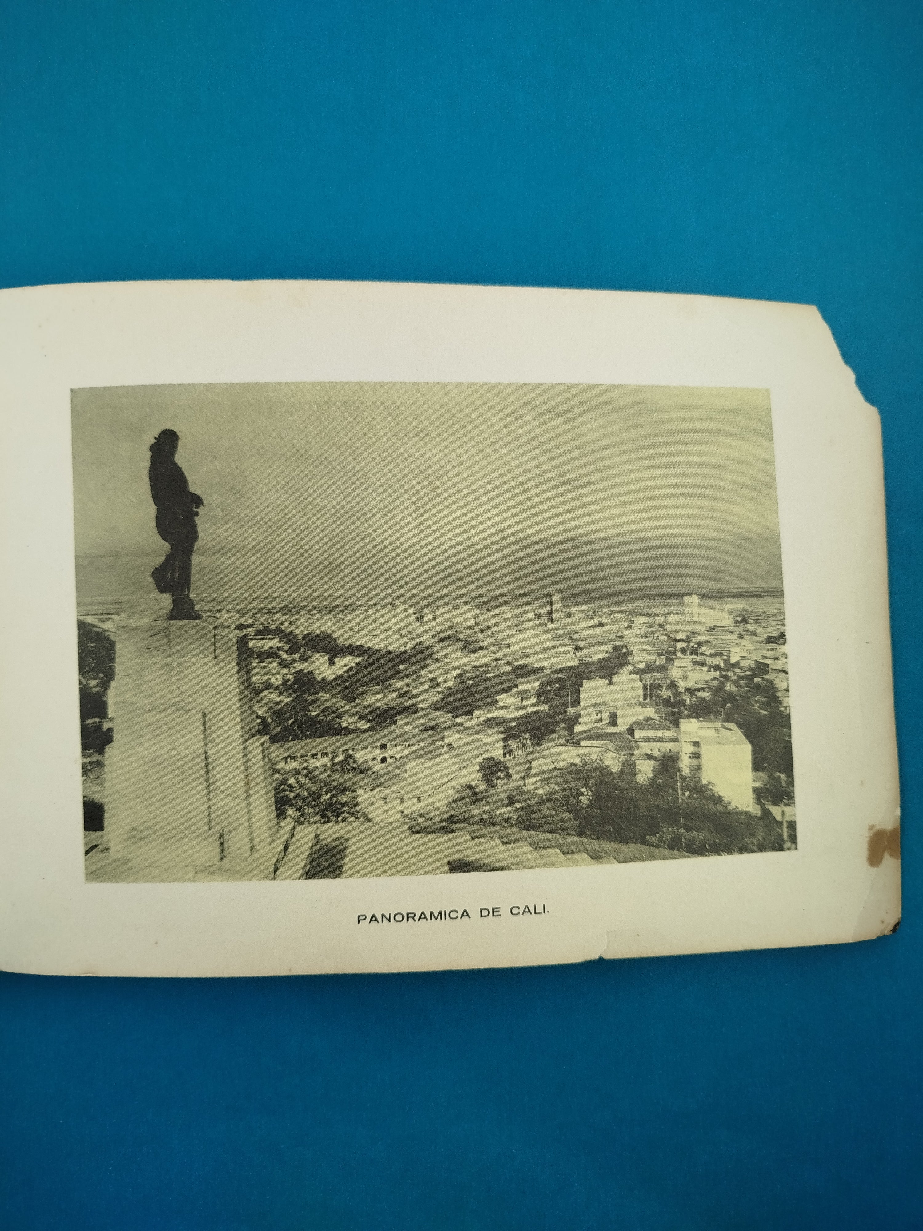 El Toreo - Image 3