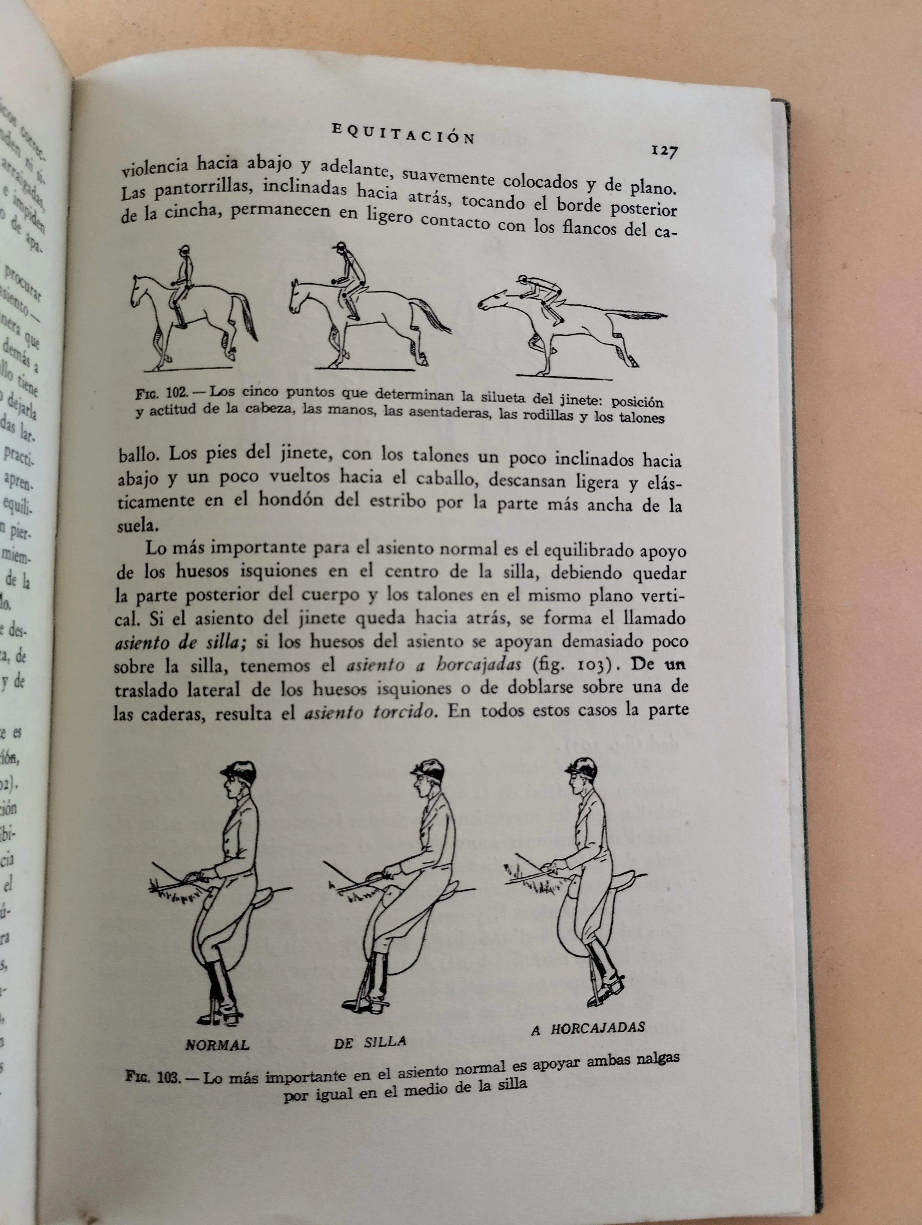 Equitación - Image 2