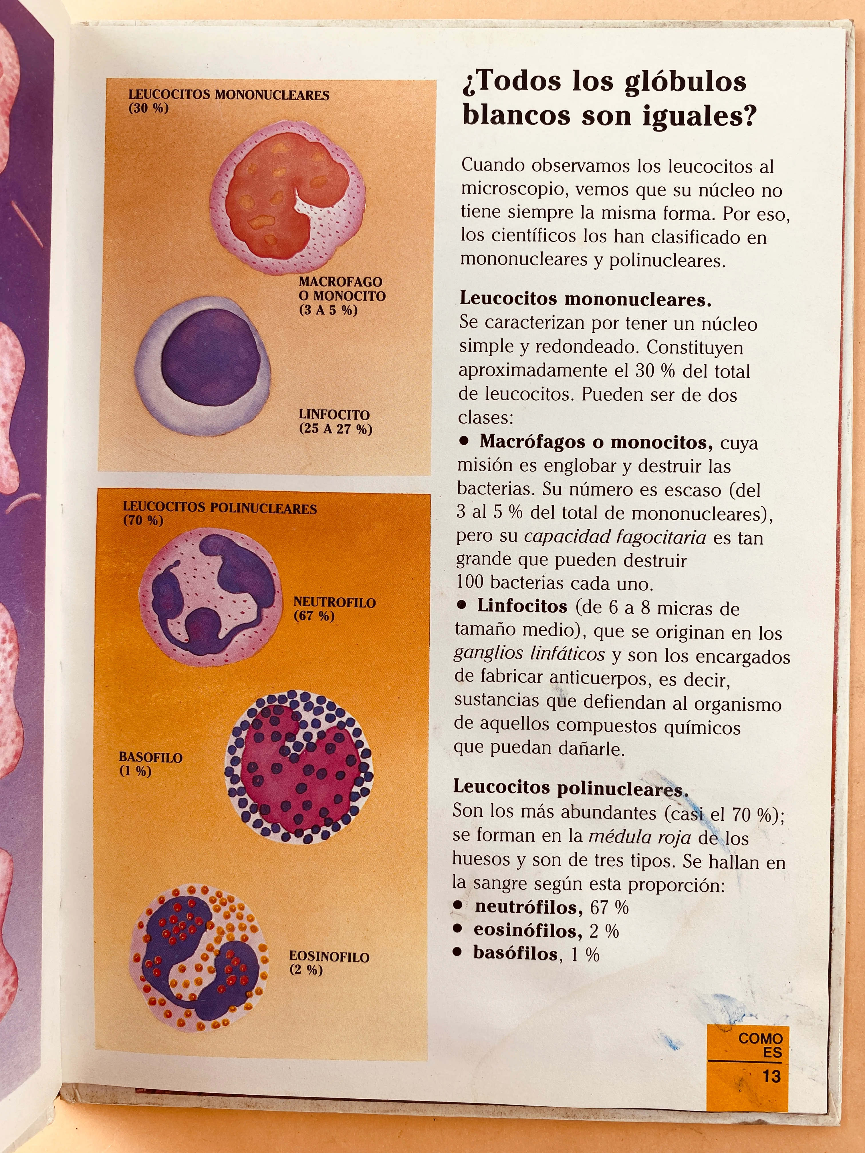 Érase una vez el cuerpo humano tomo 6 - Image 4
