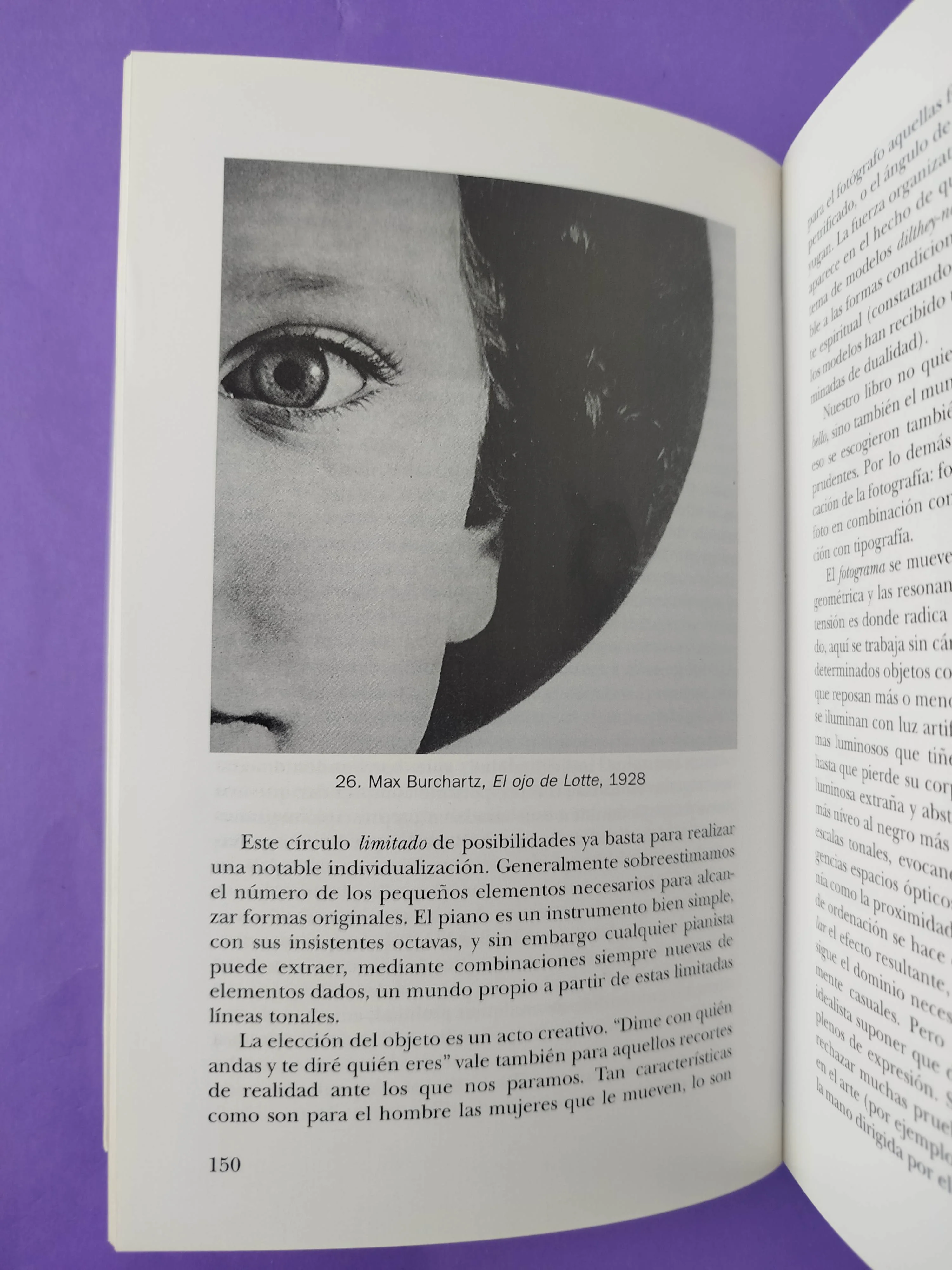Estética fotográfica - Image 2