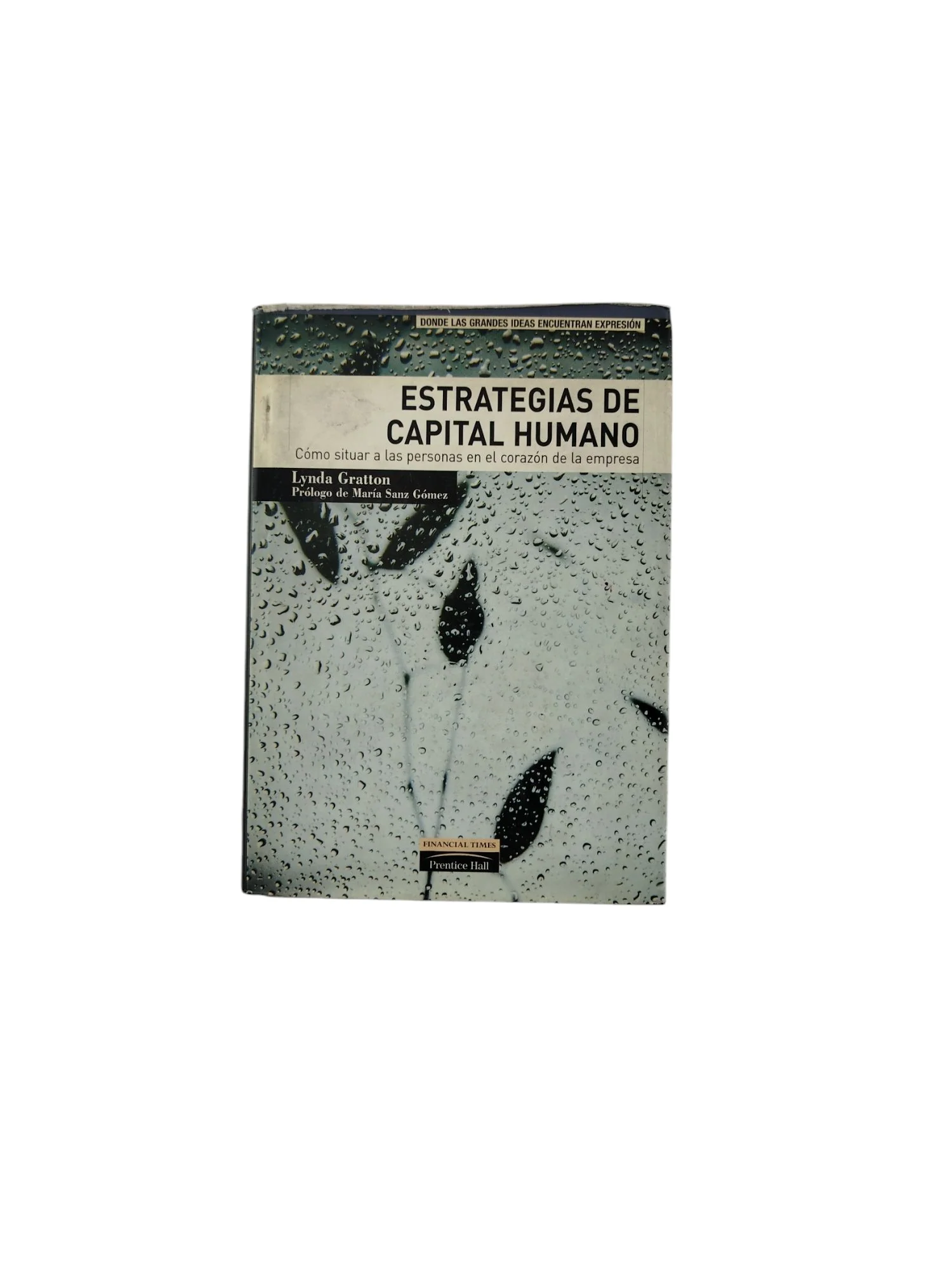 Estrategias de Capital Humano