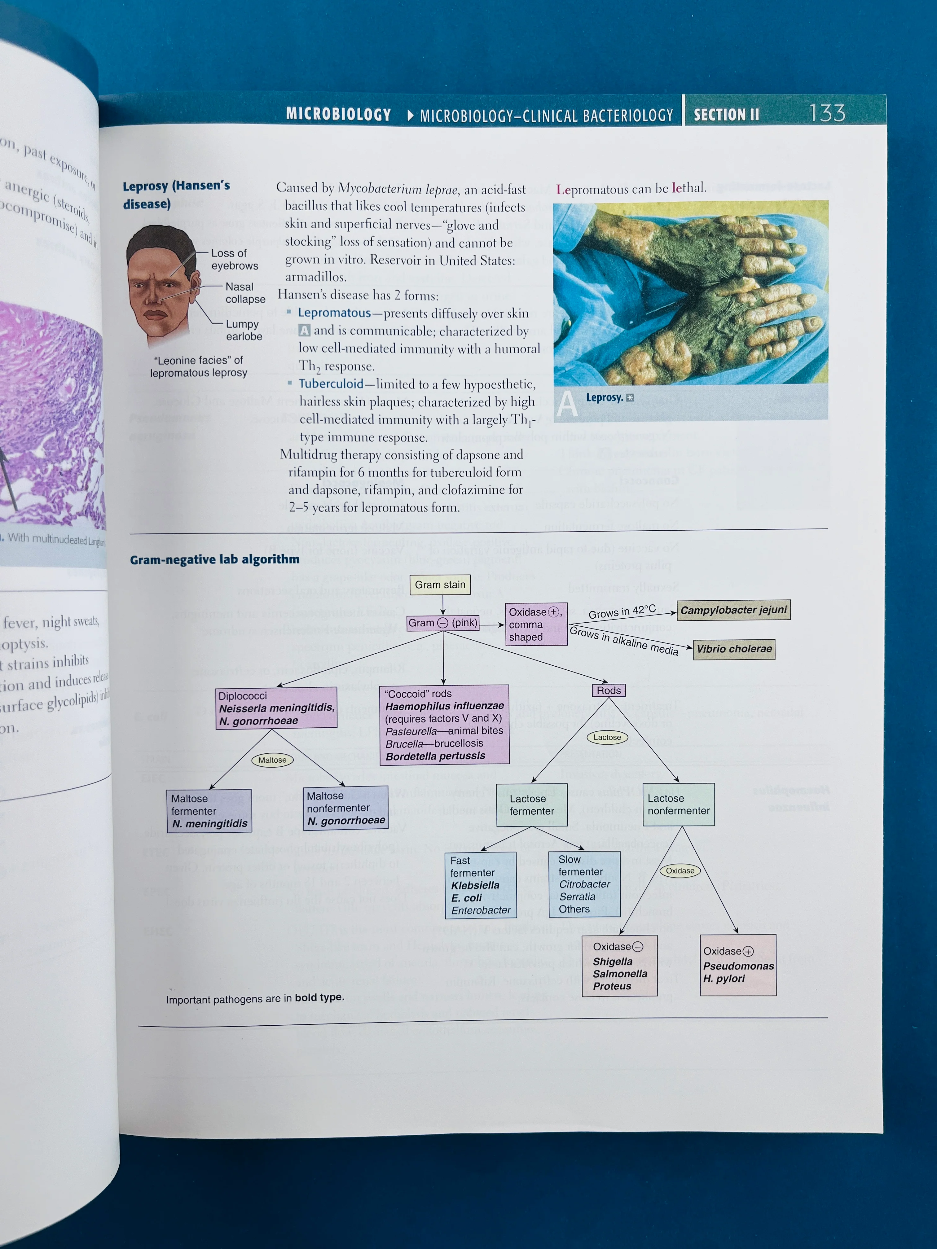 First aid for the usmle step 1 2013 - Image 3