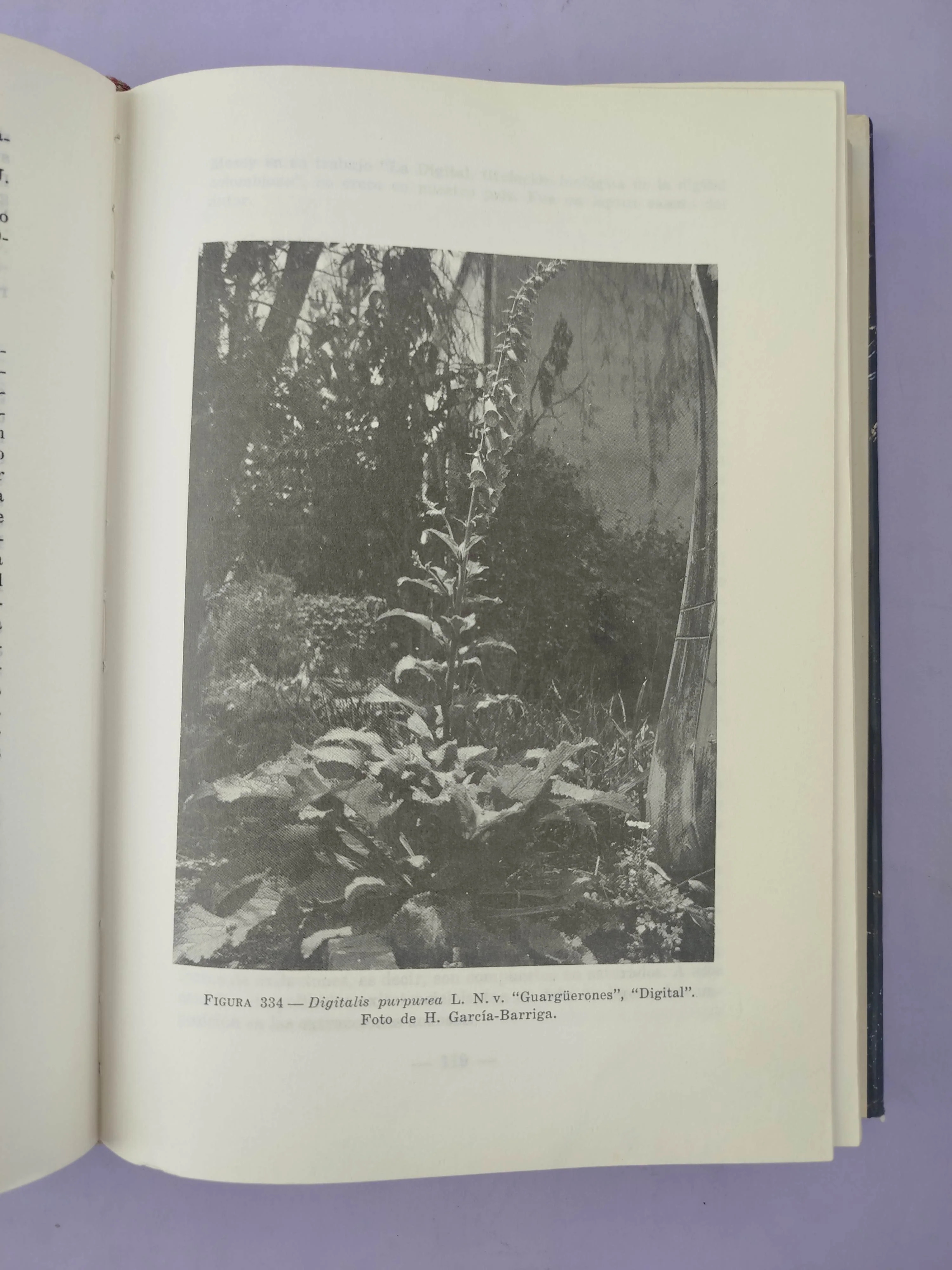 Flora medicinal de Colombia 3 tomos - Image 4
