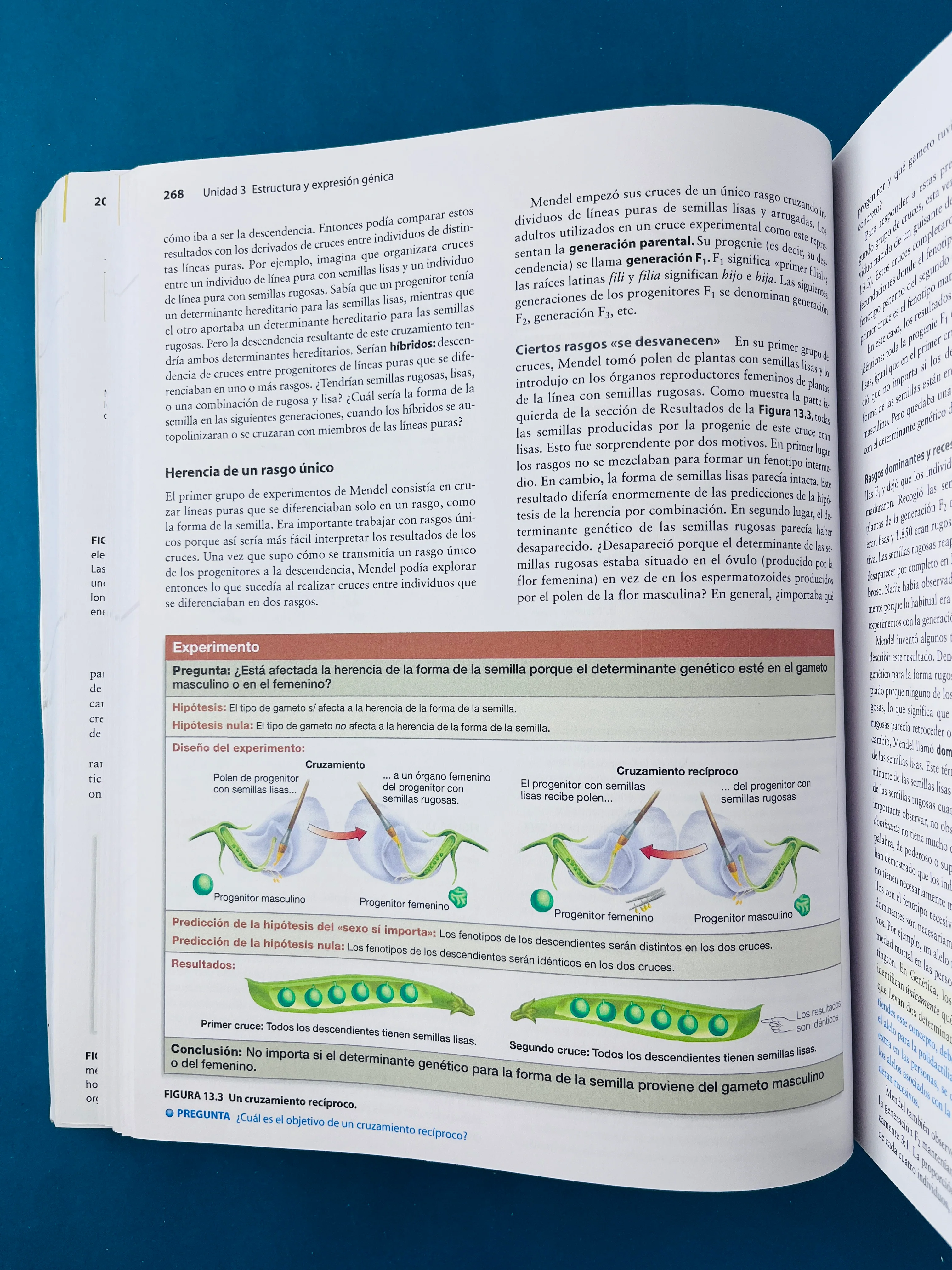 Fundamentos de biología tercera edición - Image 5
