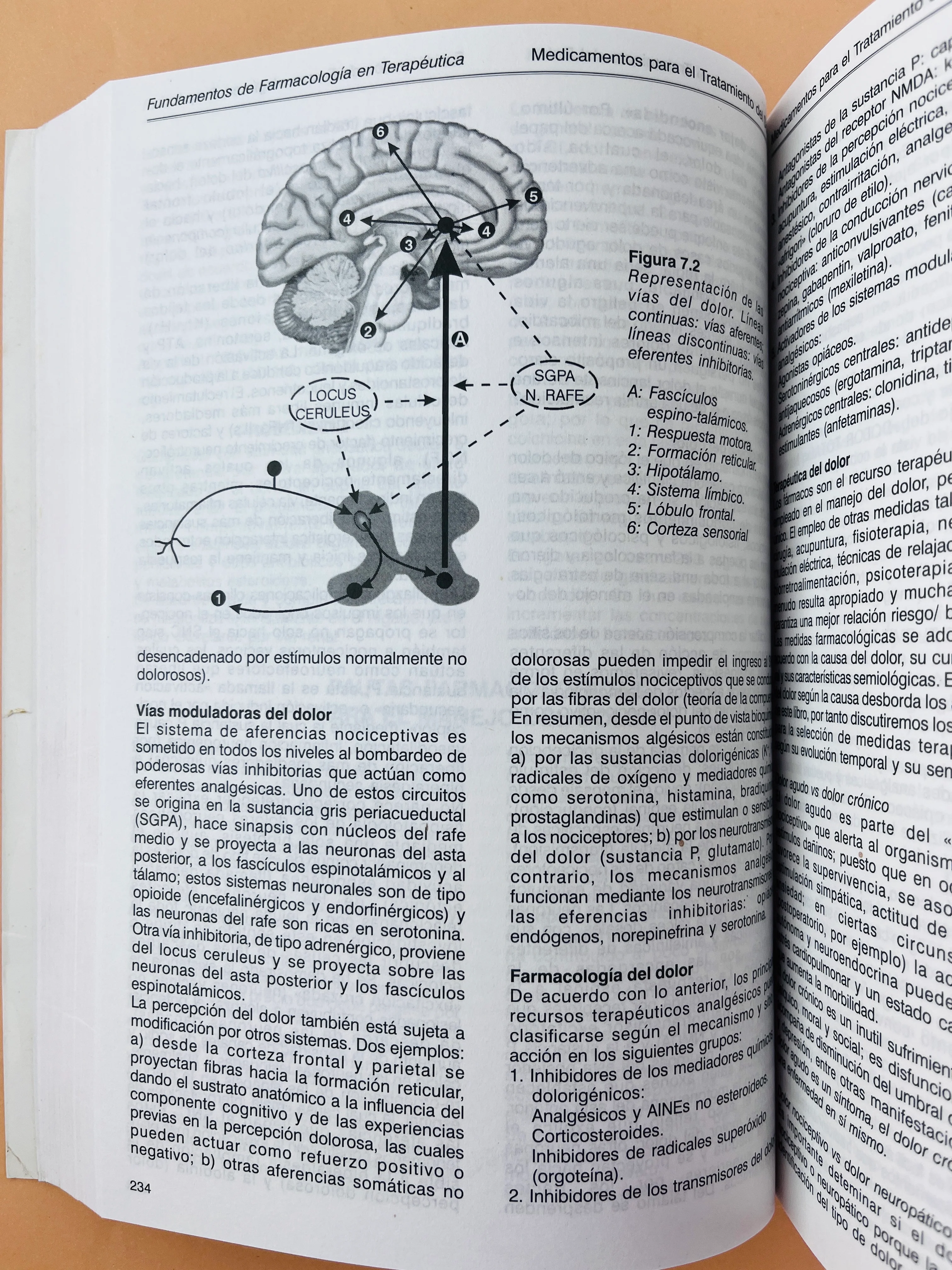 Fundamentos de farmacología en terapeutica cuarta edición - Image 5