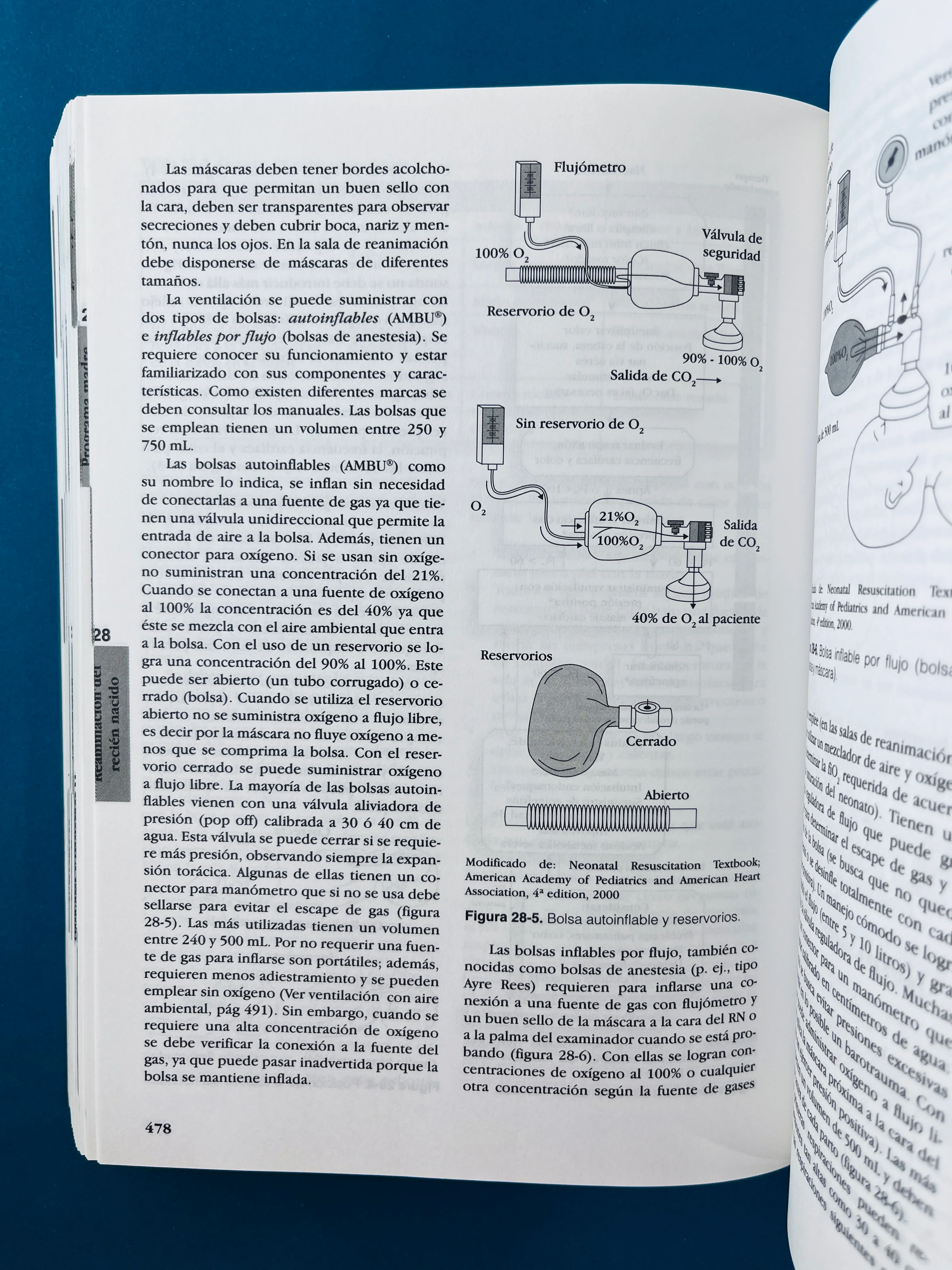 Fundamentos de pediatría tomo 1 generalidades y neonatología tercera edición - Image 4