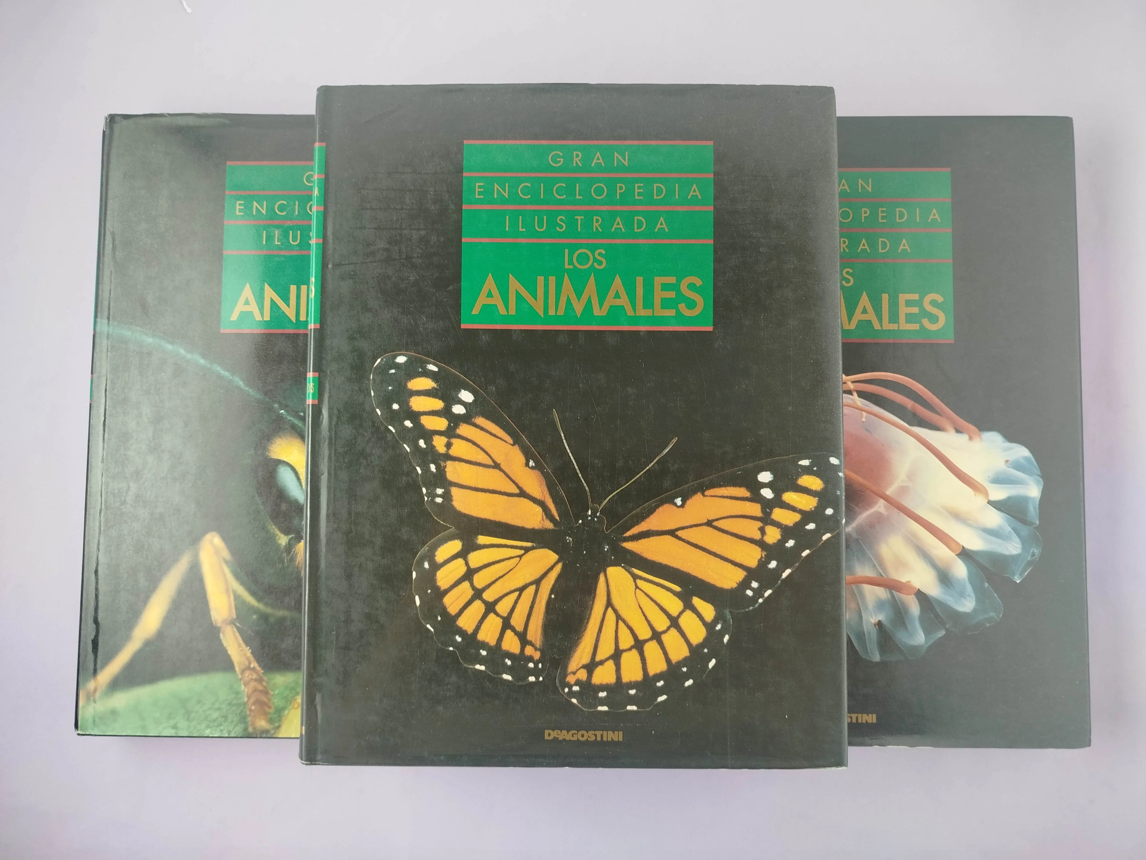 Gran enciclopedia ilustrada los animales 10 tomos - Image 2