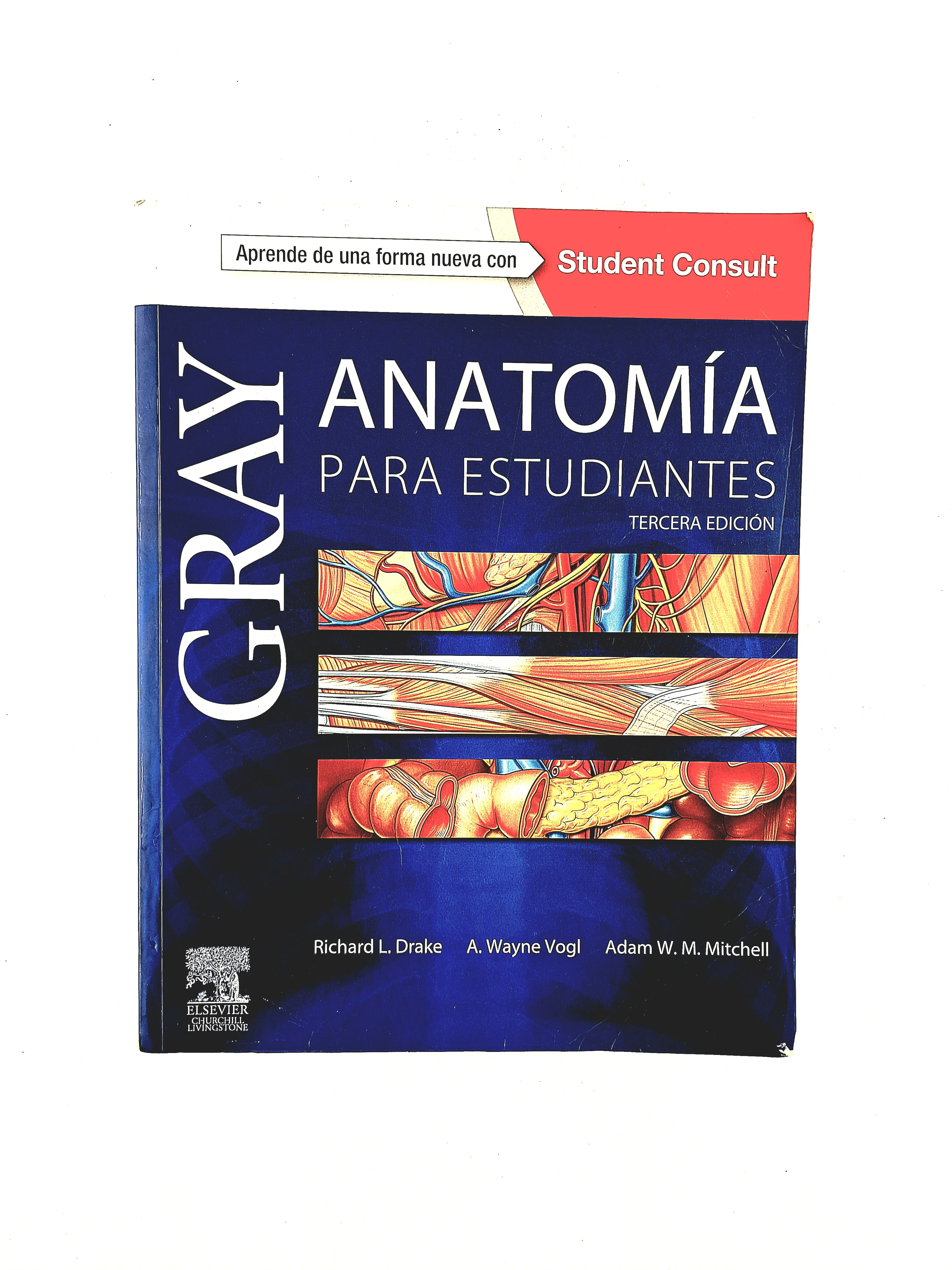 Gray anatomía para estudiantes tercera edición