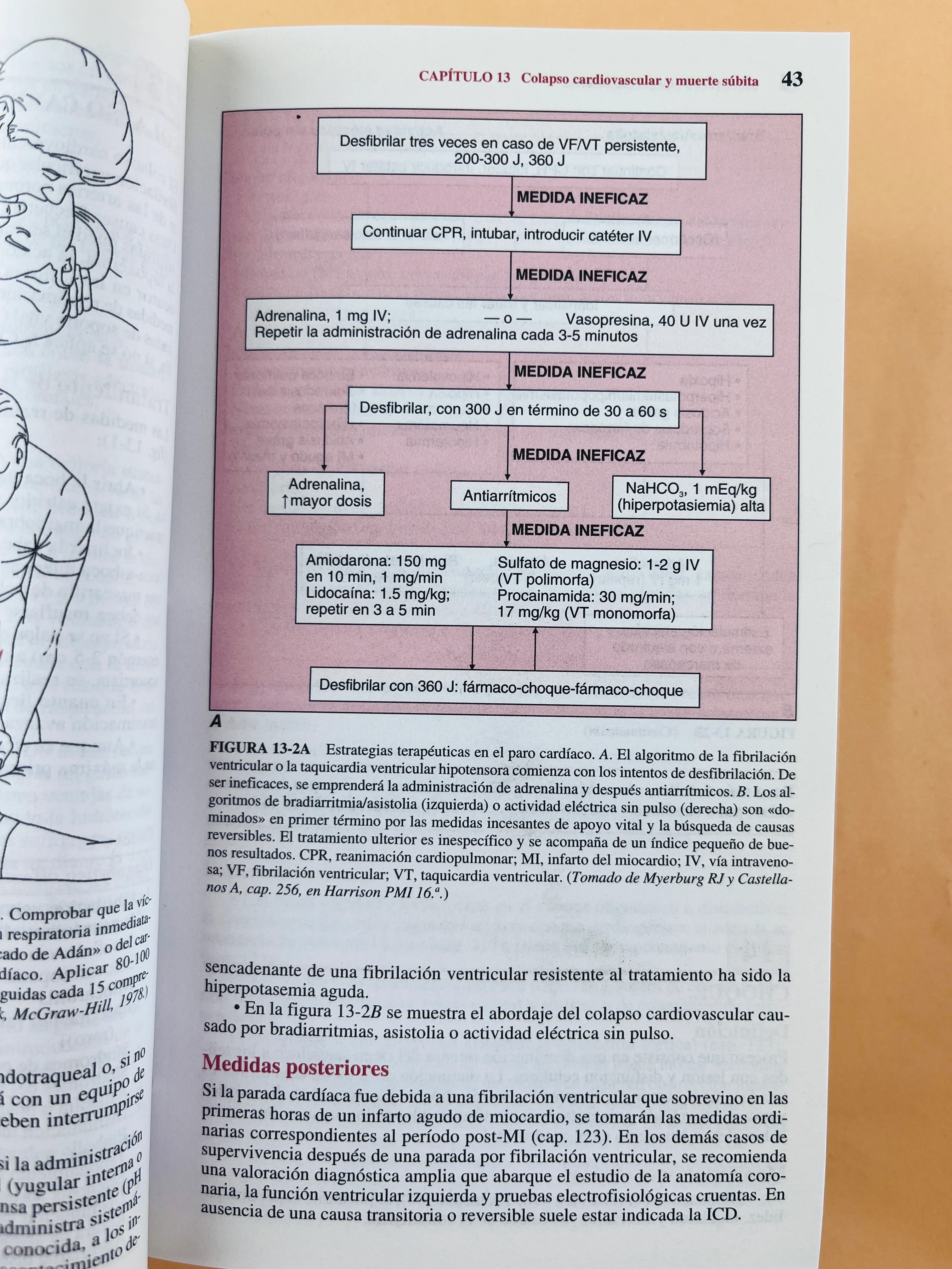 Harrison Manual de medicina 16a edición - Image 5