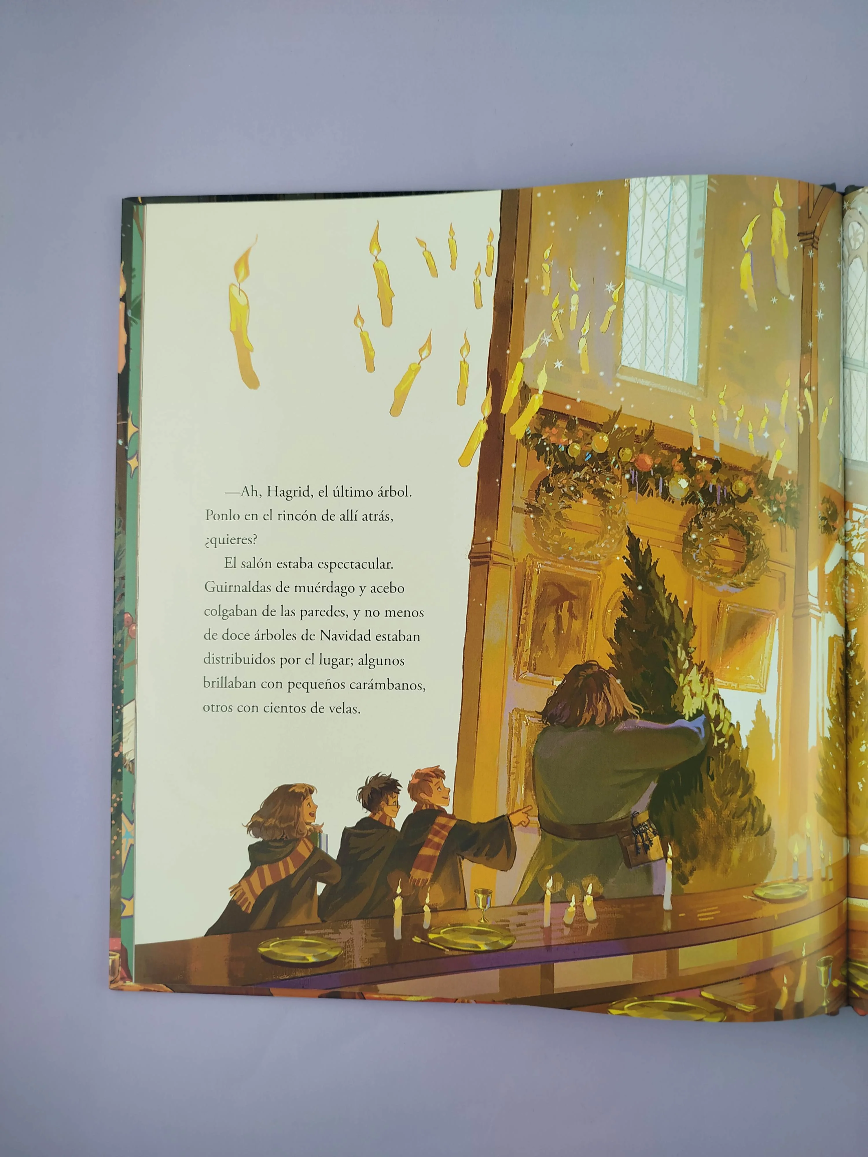 Harry Potter Navidad en Hogwarts - Image 2