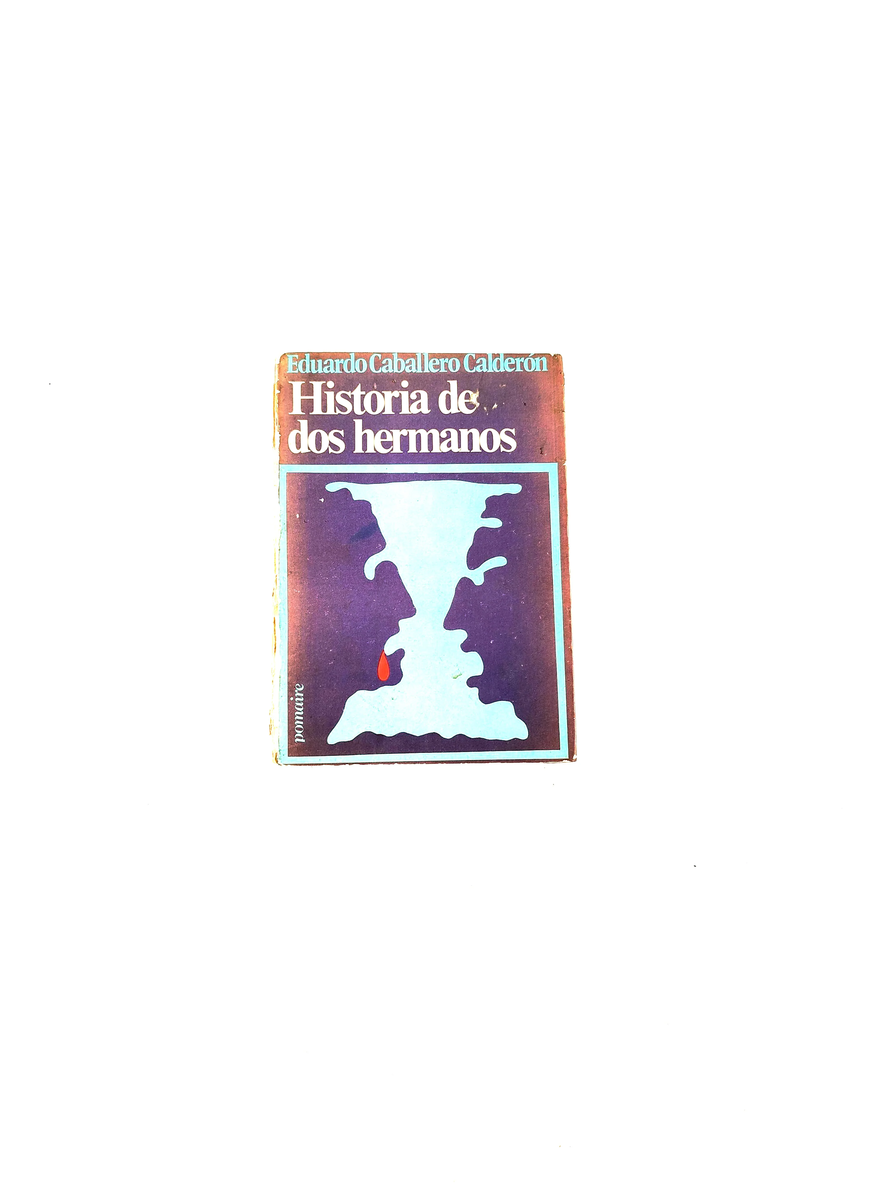 Historia de dos hermanos