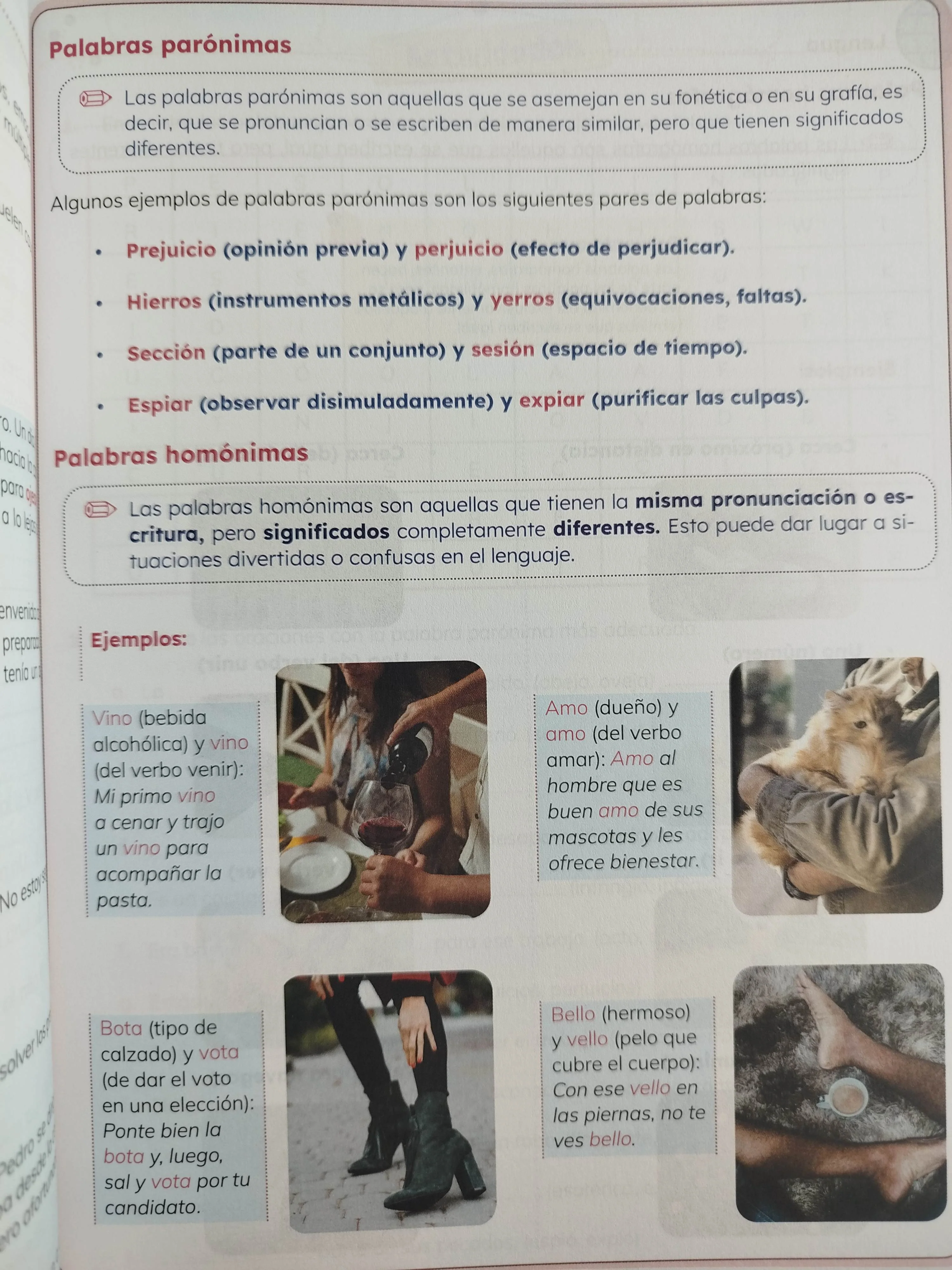 Ideas lenguaje 5 - Image 2