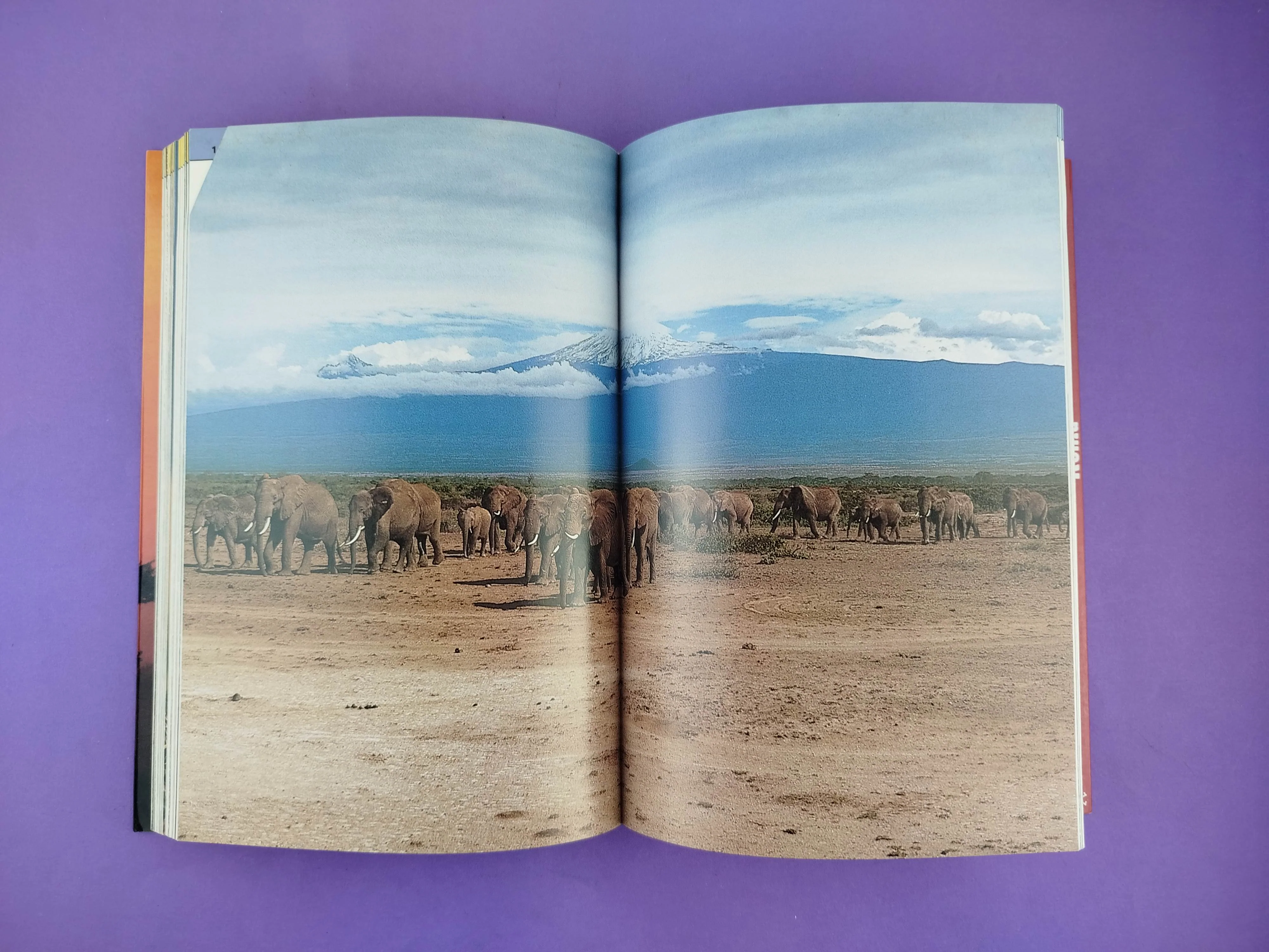 Kenia - Image 2