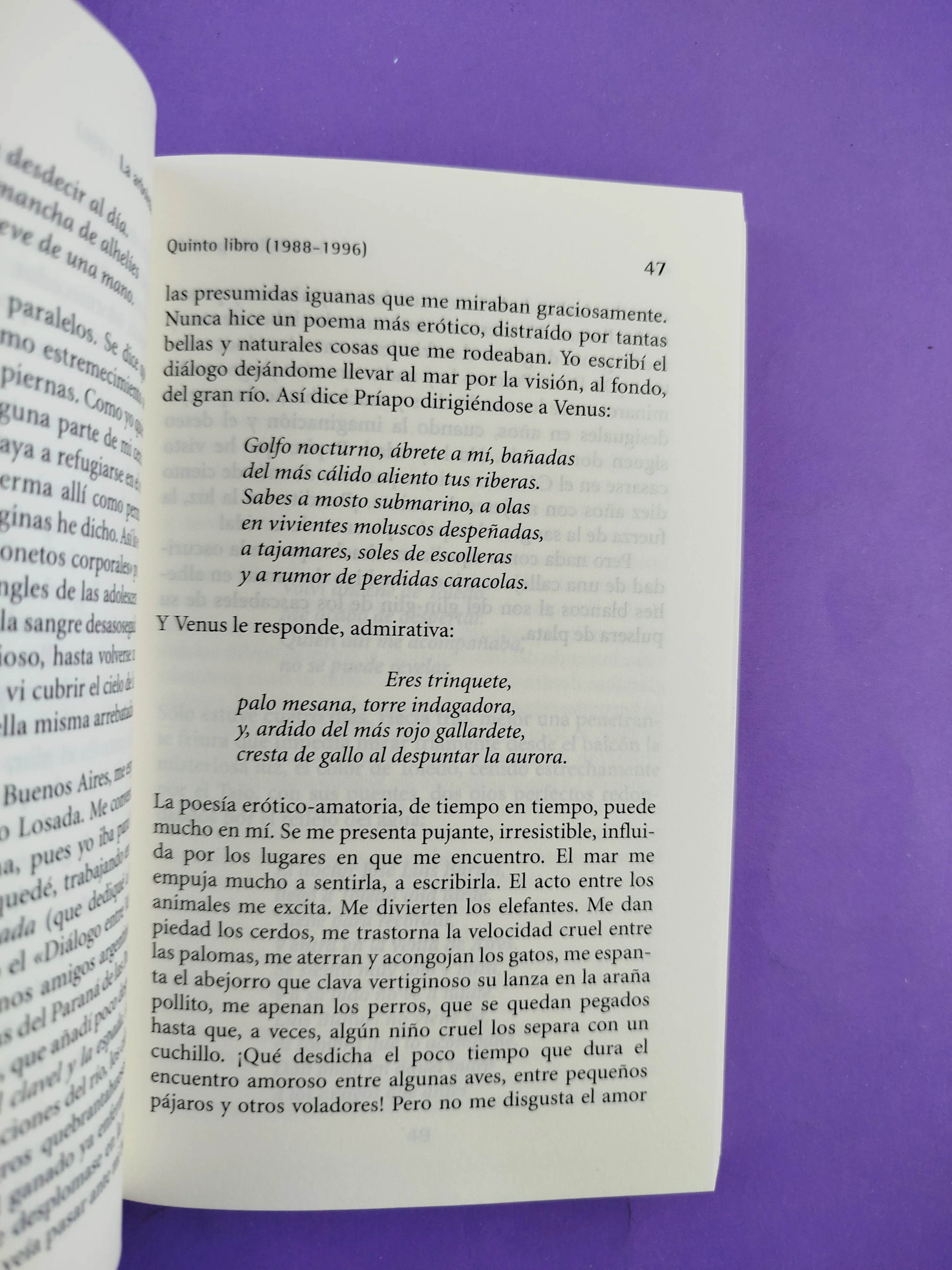 La arboleda perdida - Image 4