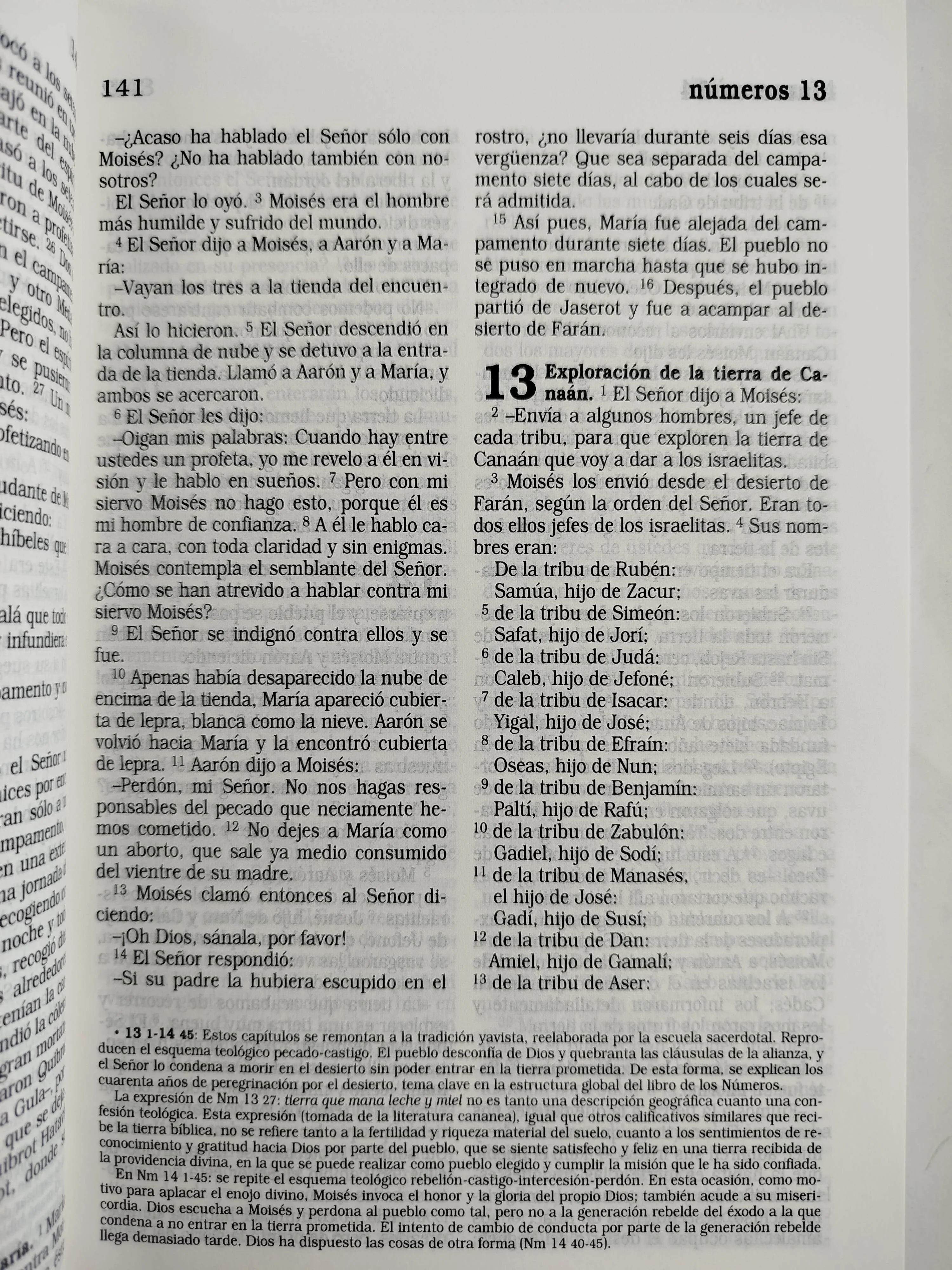 La Biblia Católica: Edición letra grande. Tapa dura, morada con flores - Image 4