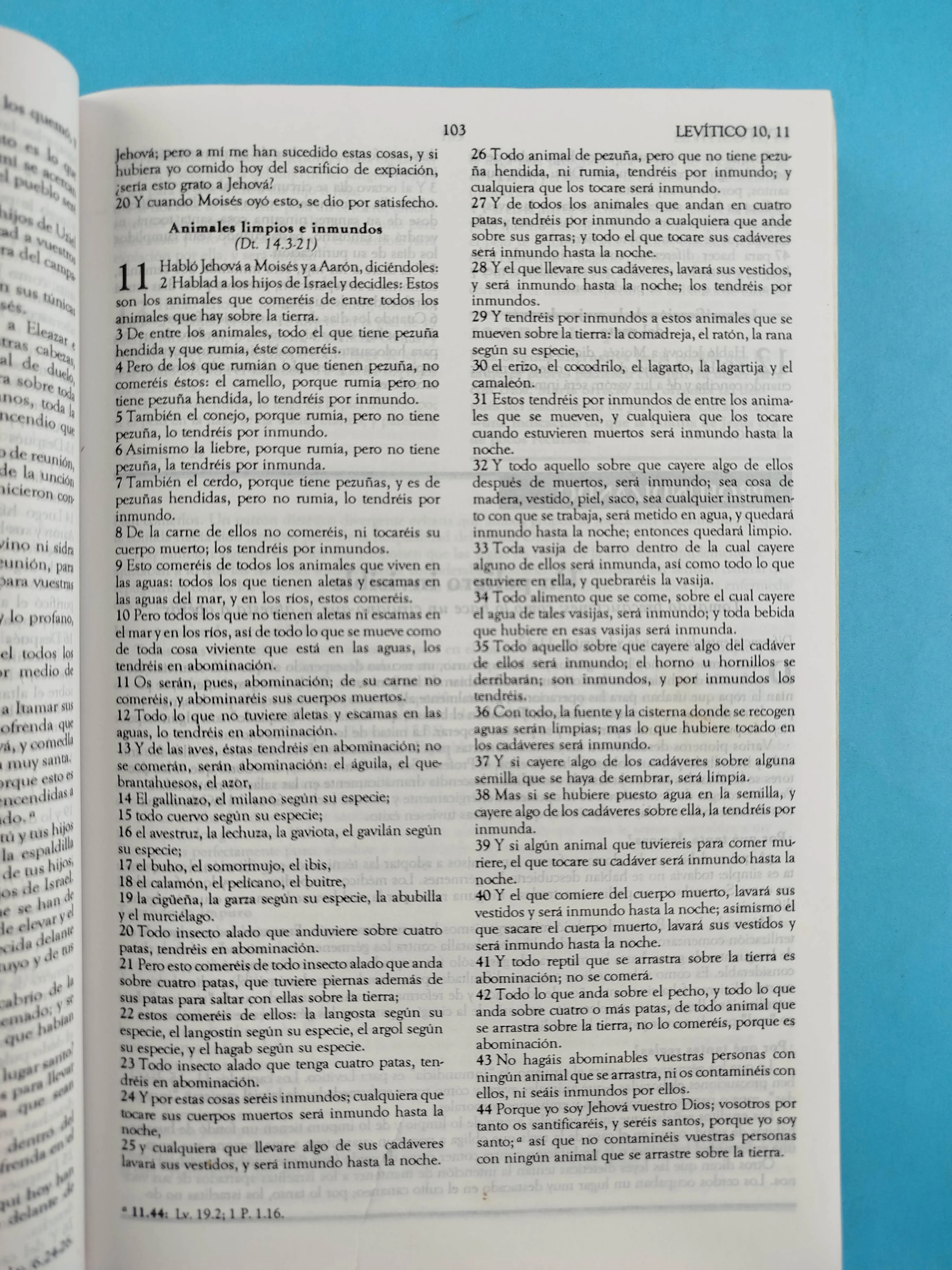 La biblia devocional de estudio - Image 2