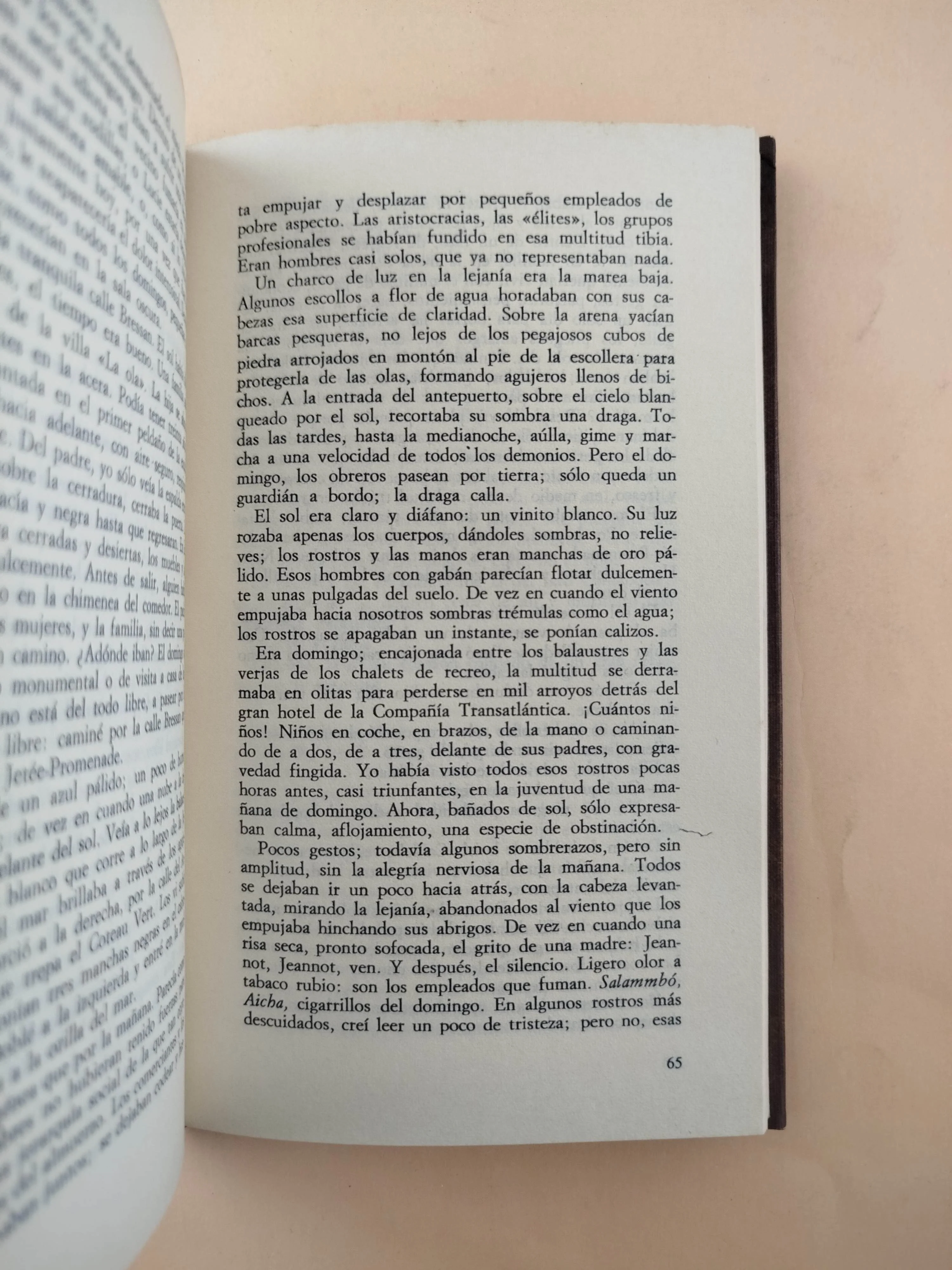 La náusea - Image 4