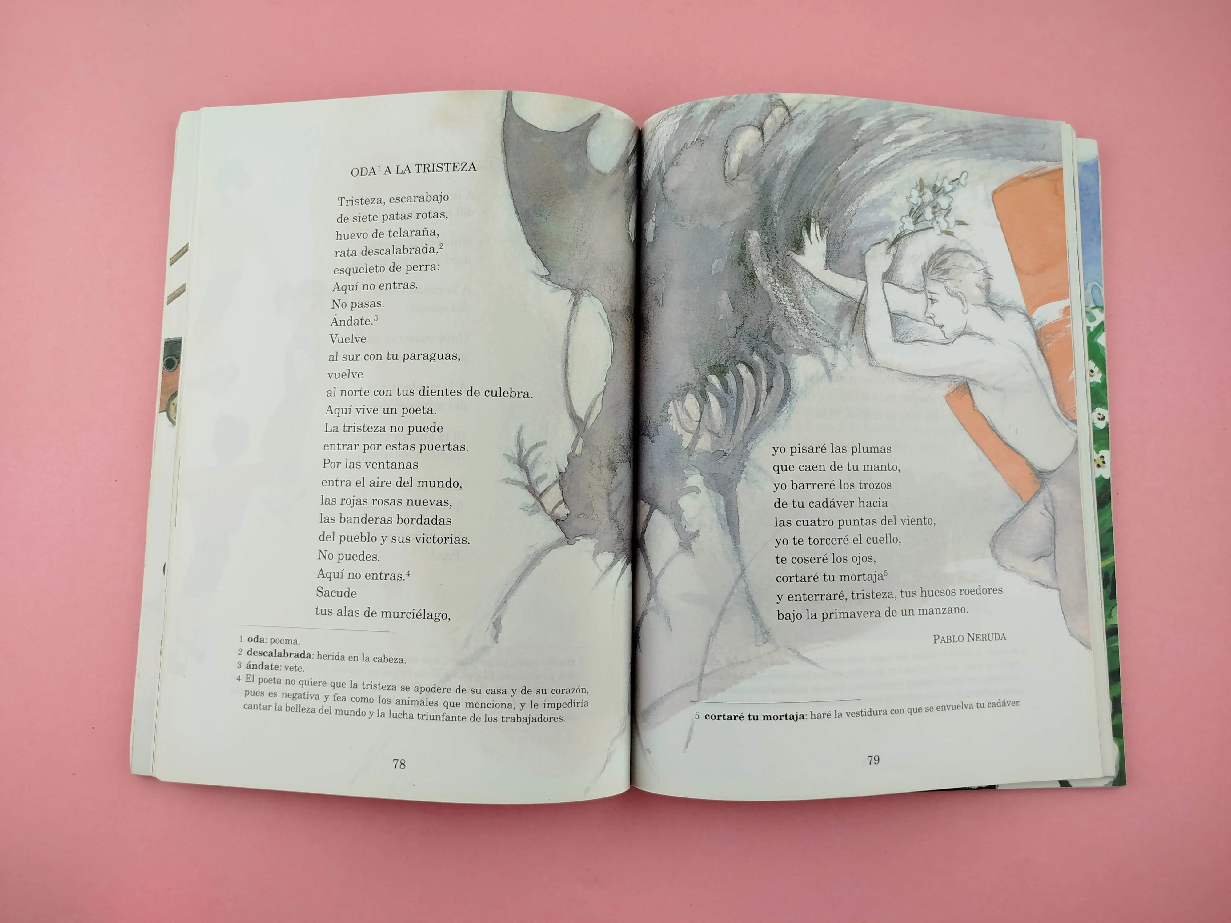 La rosa de los vientos. Antología poética - Image 2