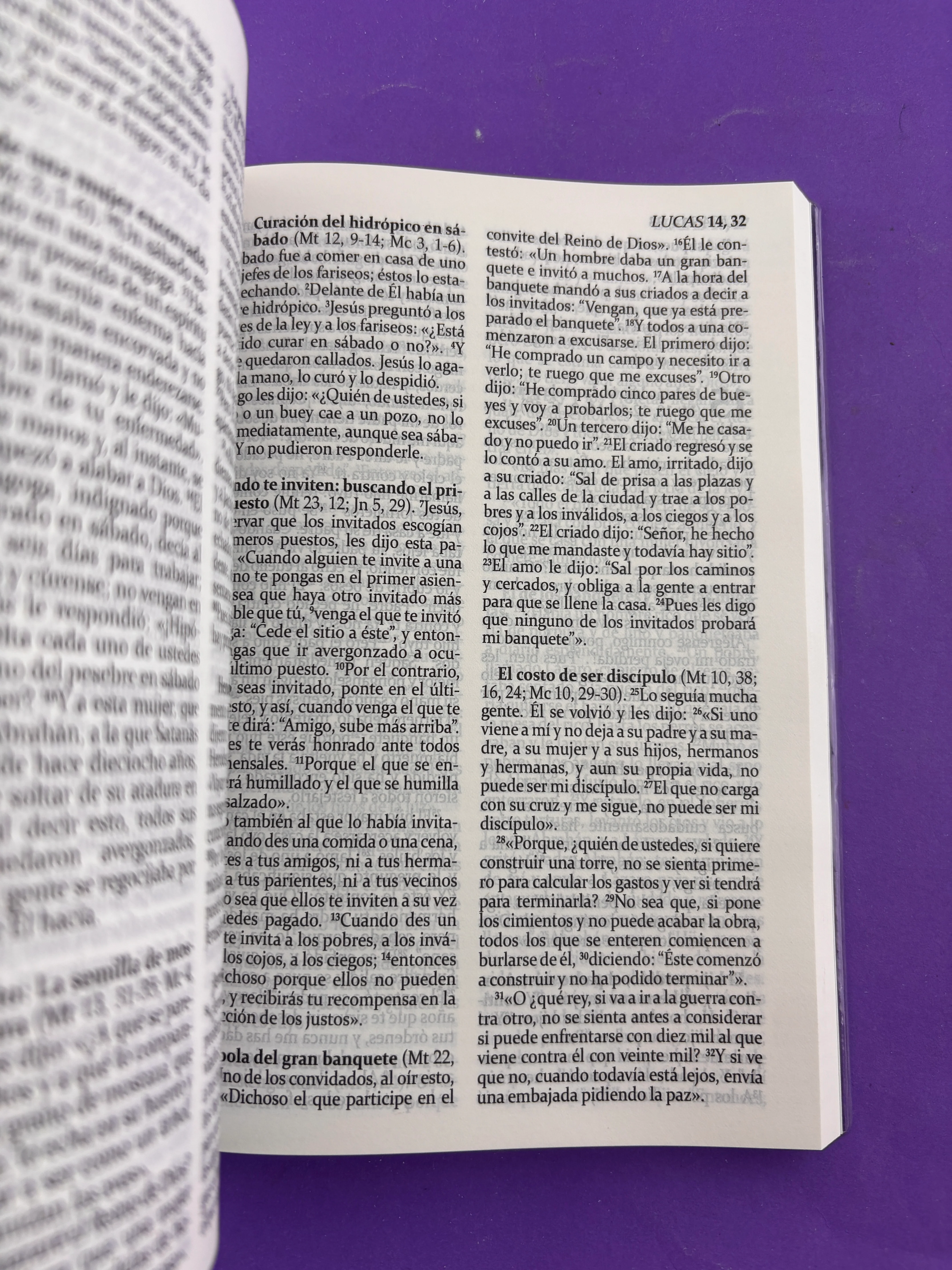 La sagrada biblia de américa amarilla - Image 3