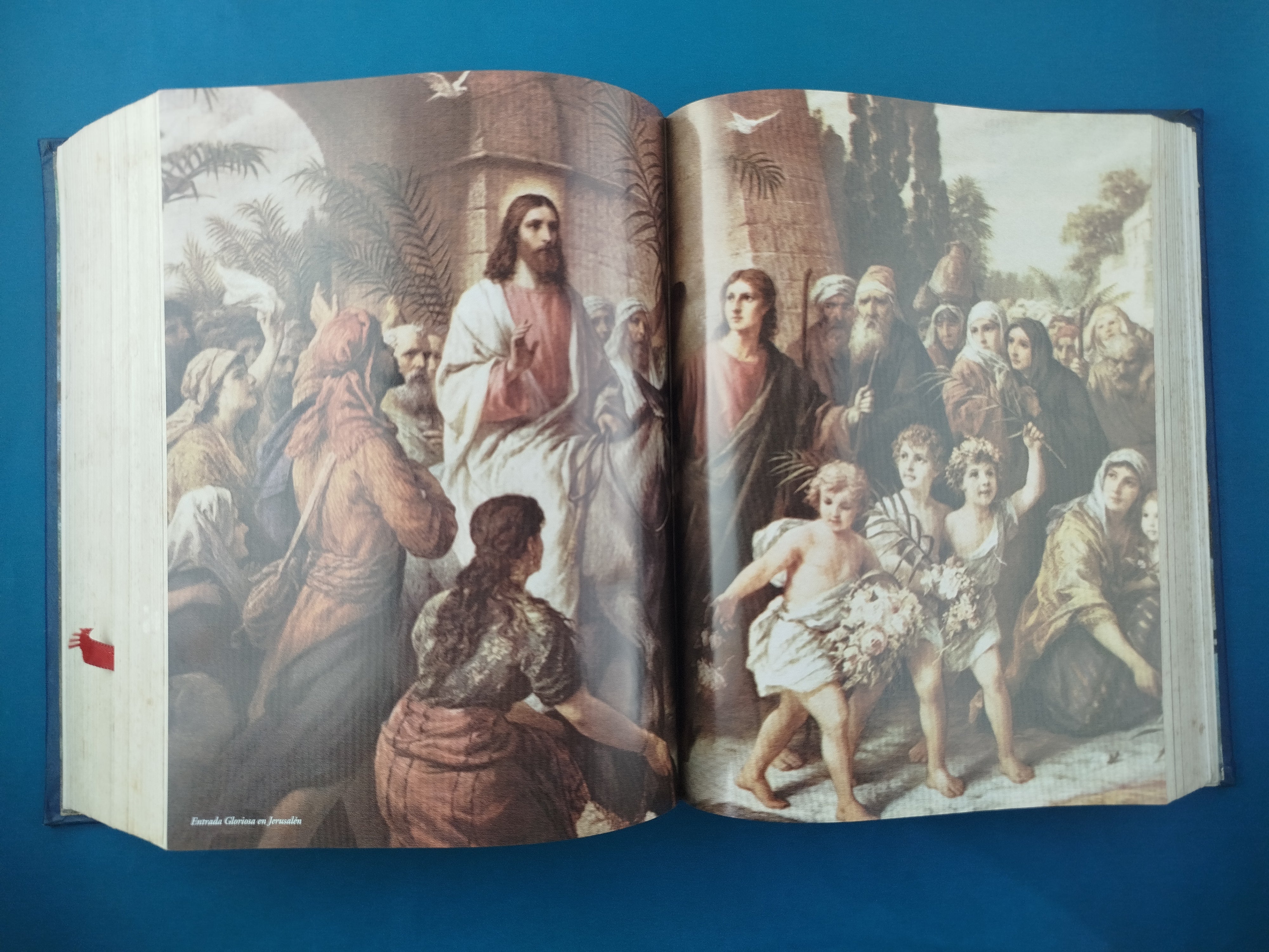 La Sagrada Biblia De La Paz - Image 2