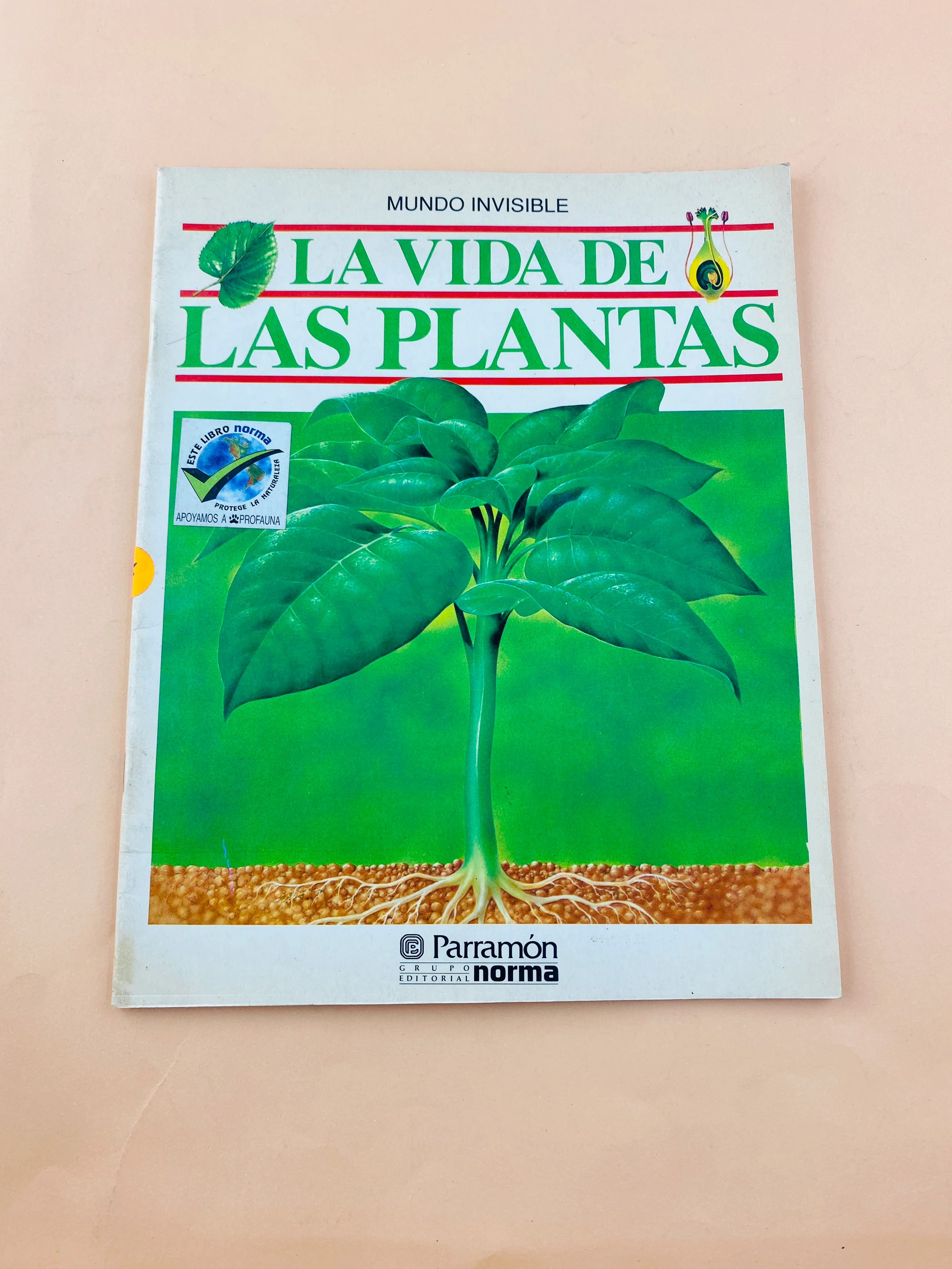 La vida de las plantas - Image 2