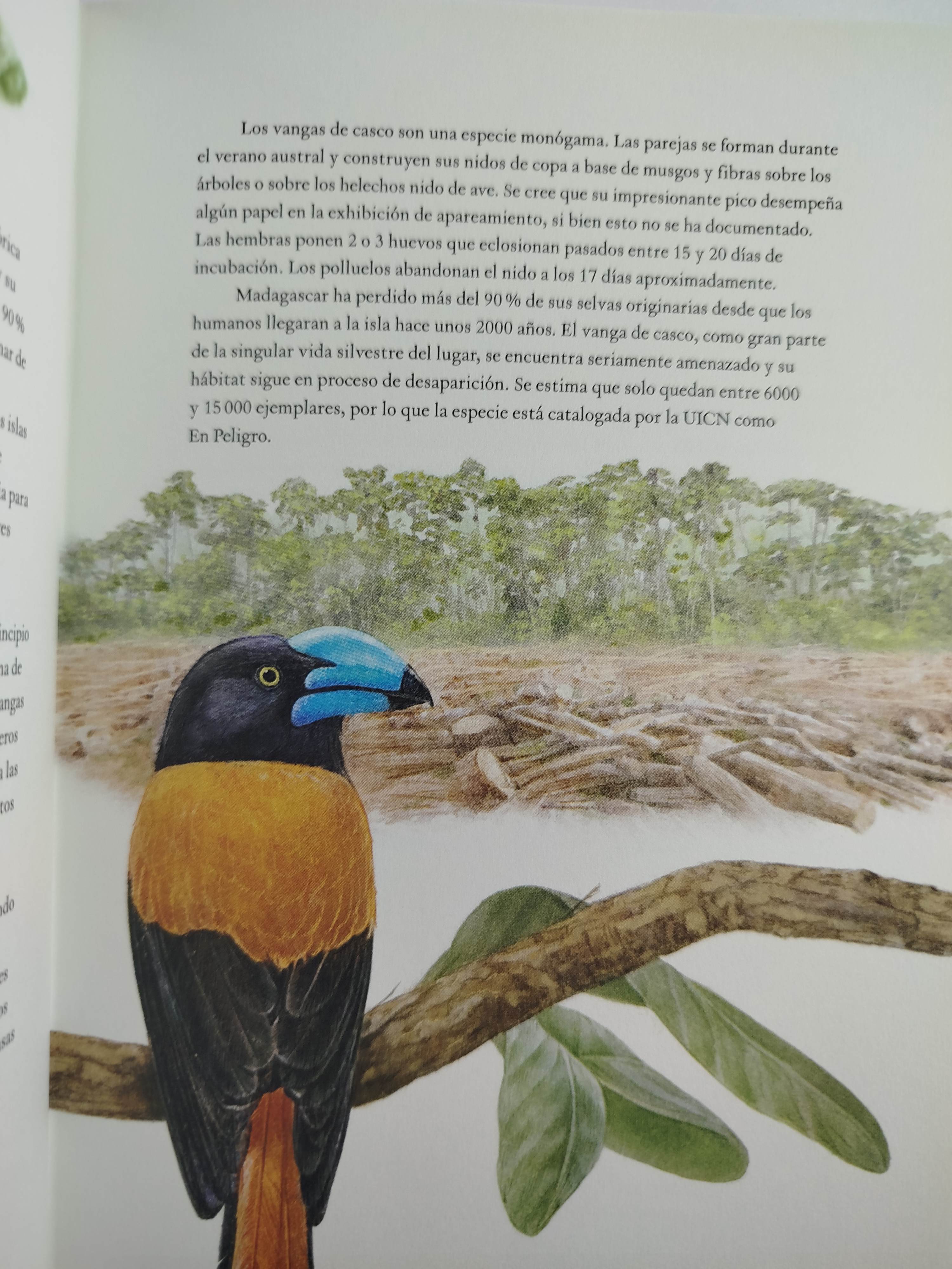La vuelta al mundo en 80 aves - Image 2