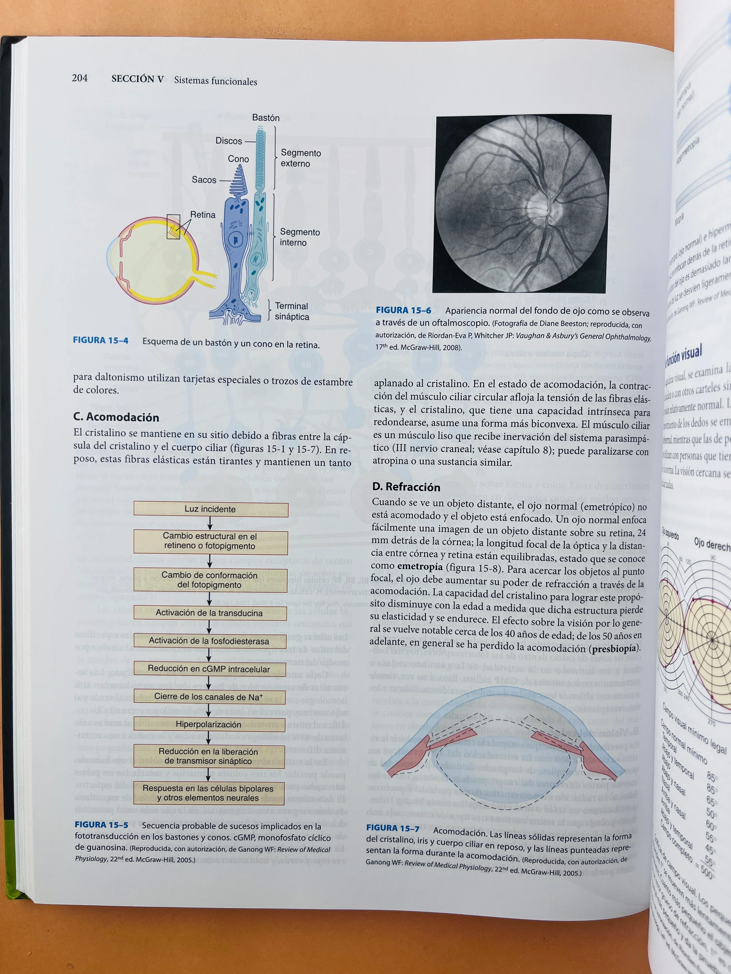Lange Neuroanatomía clínica 26a edicion - Image 5