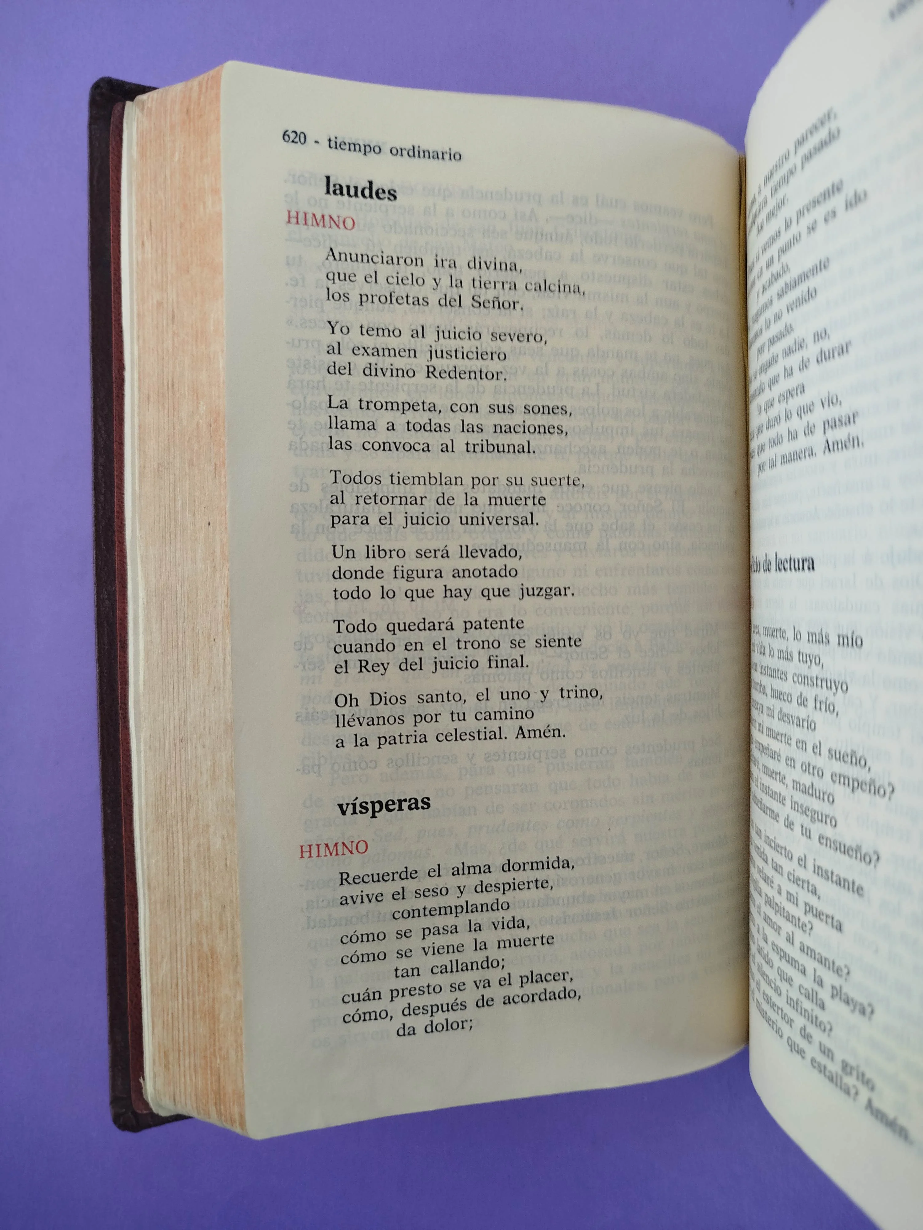 Liturgia de las horas IV - Image 3
