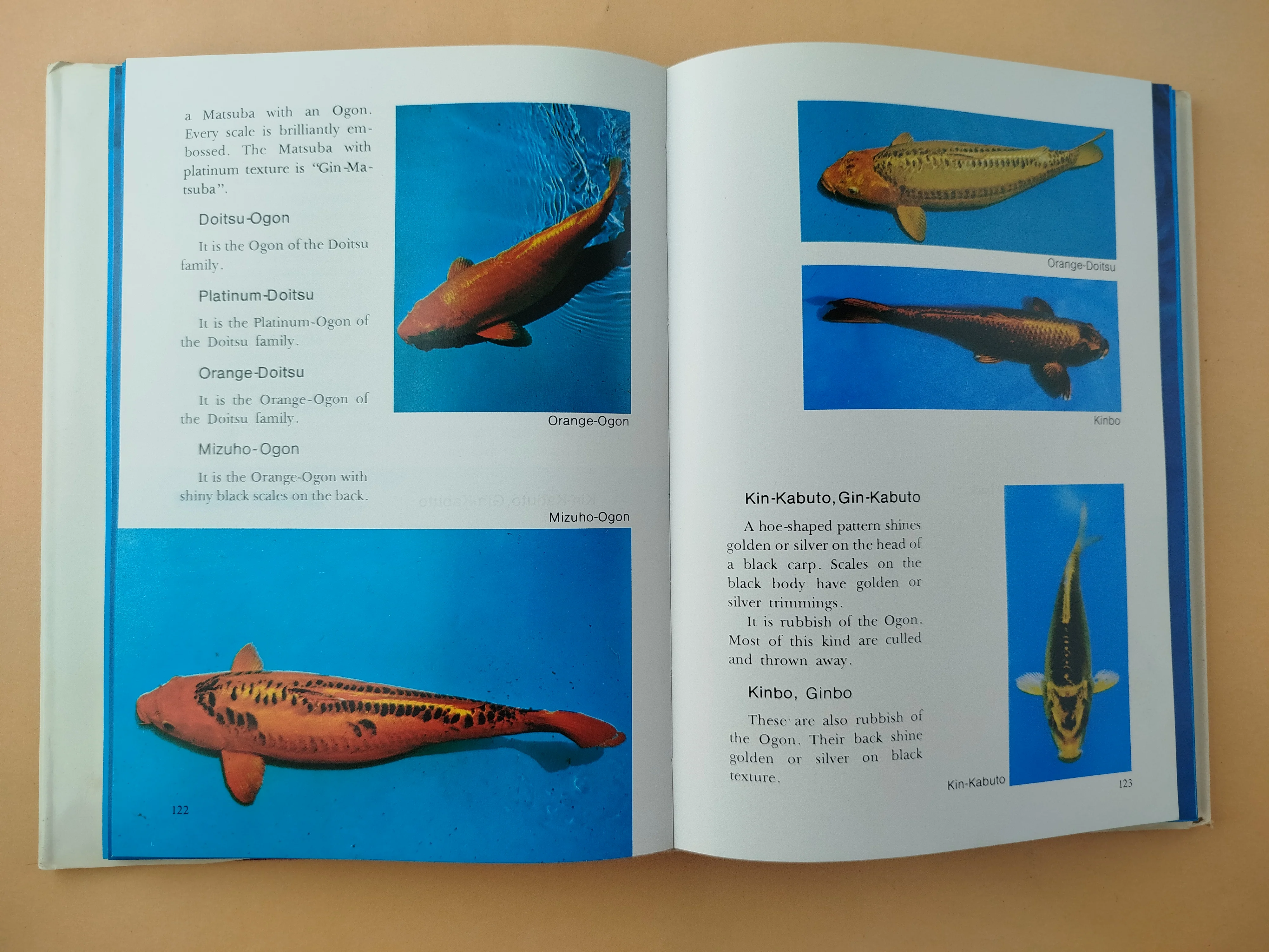 Manual to Nishikigoi - Image 5