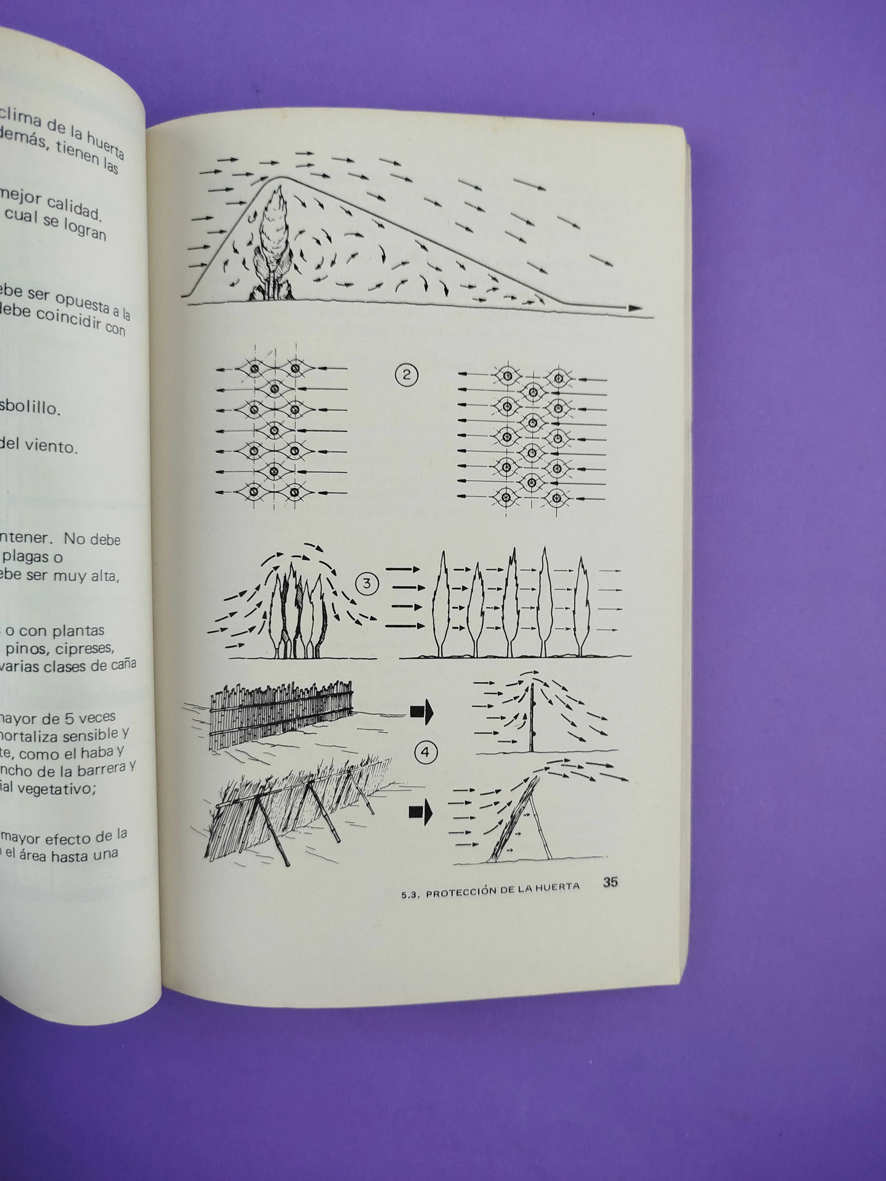 Manuales para educación agropecuario Horti Cultura - Image 4