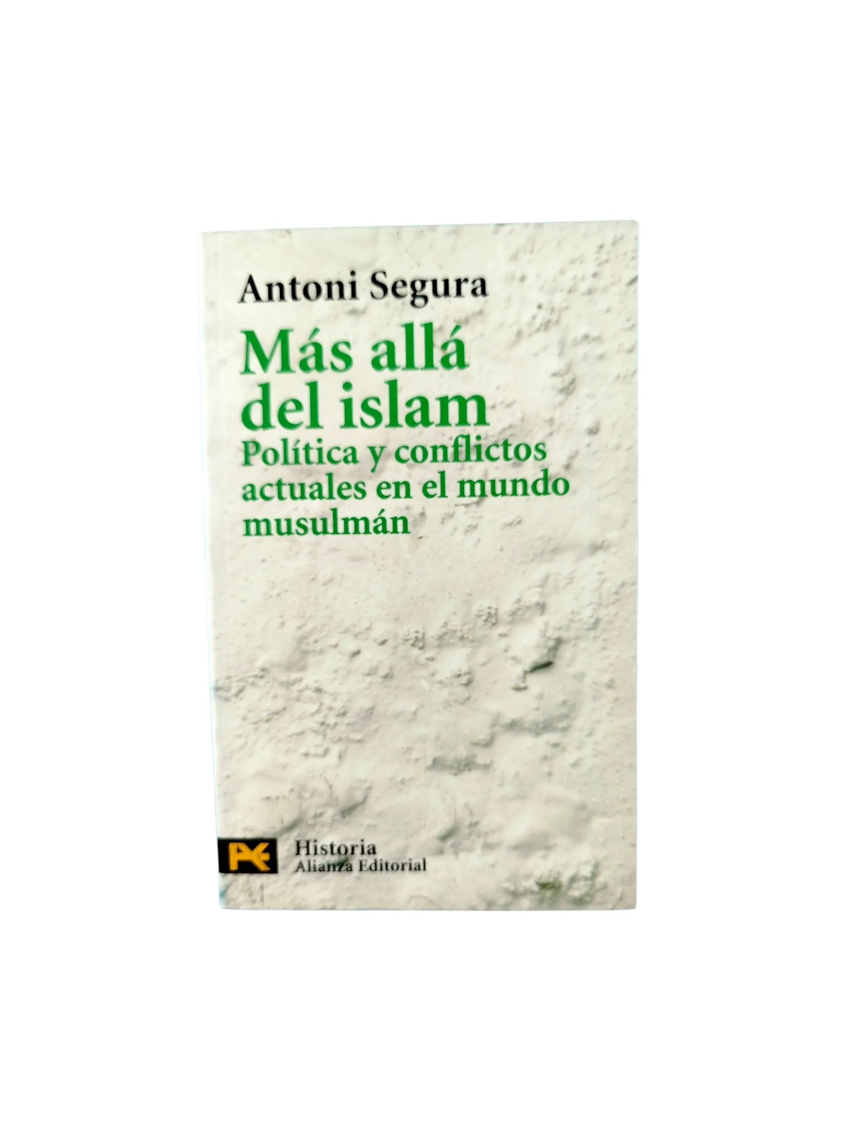 Más allá del Islam: Política y conflictos actuales en el mundo musulmán