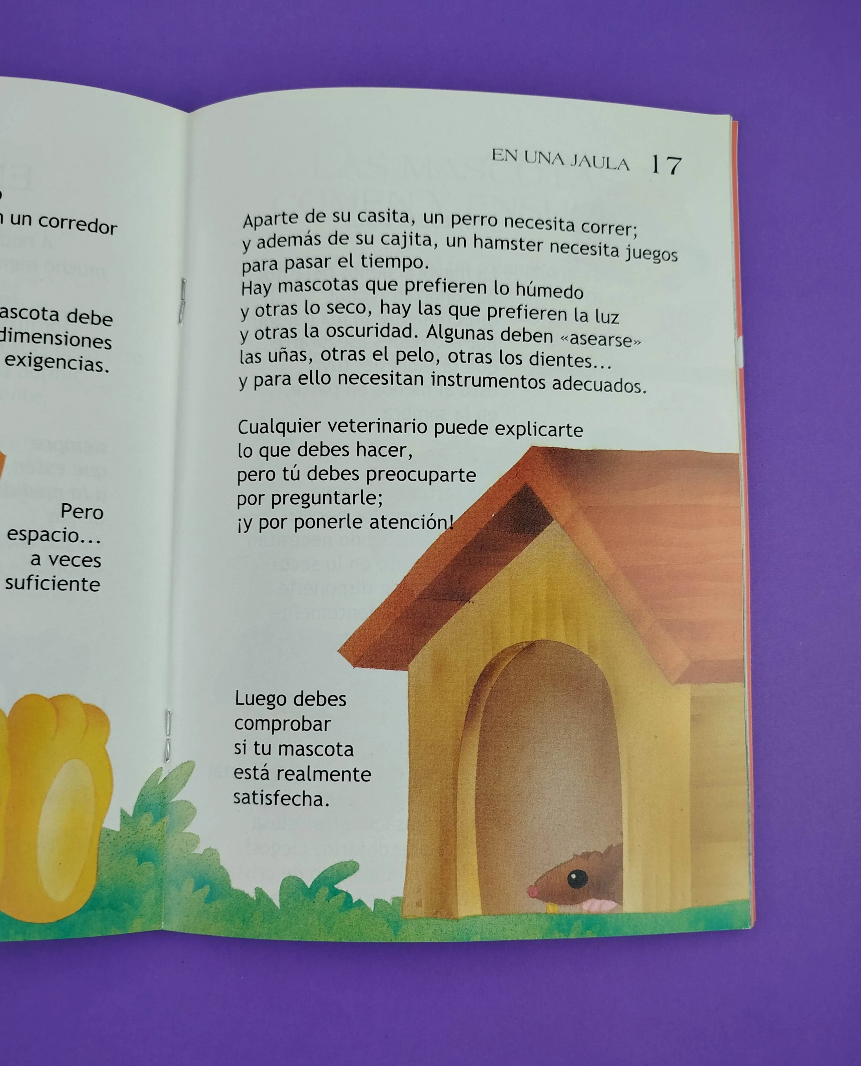 Mascotas todo lo que debes saber antes de adoptar un animal...o para hacerse su amigo. - Image 3