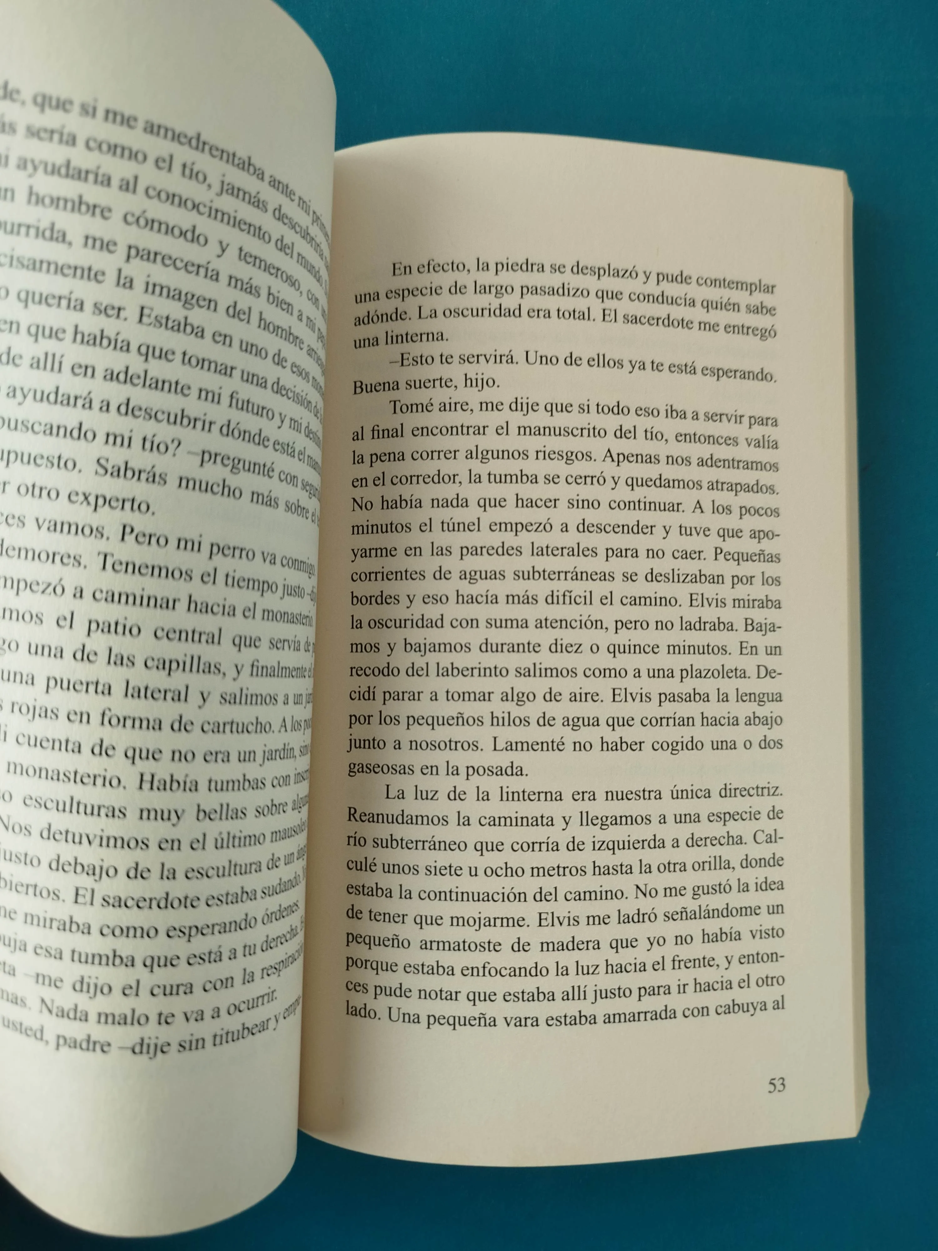 Mi extraño viaje al mundo de Shambala - Image 3