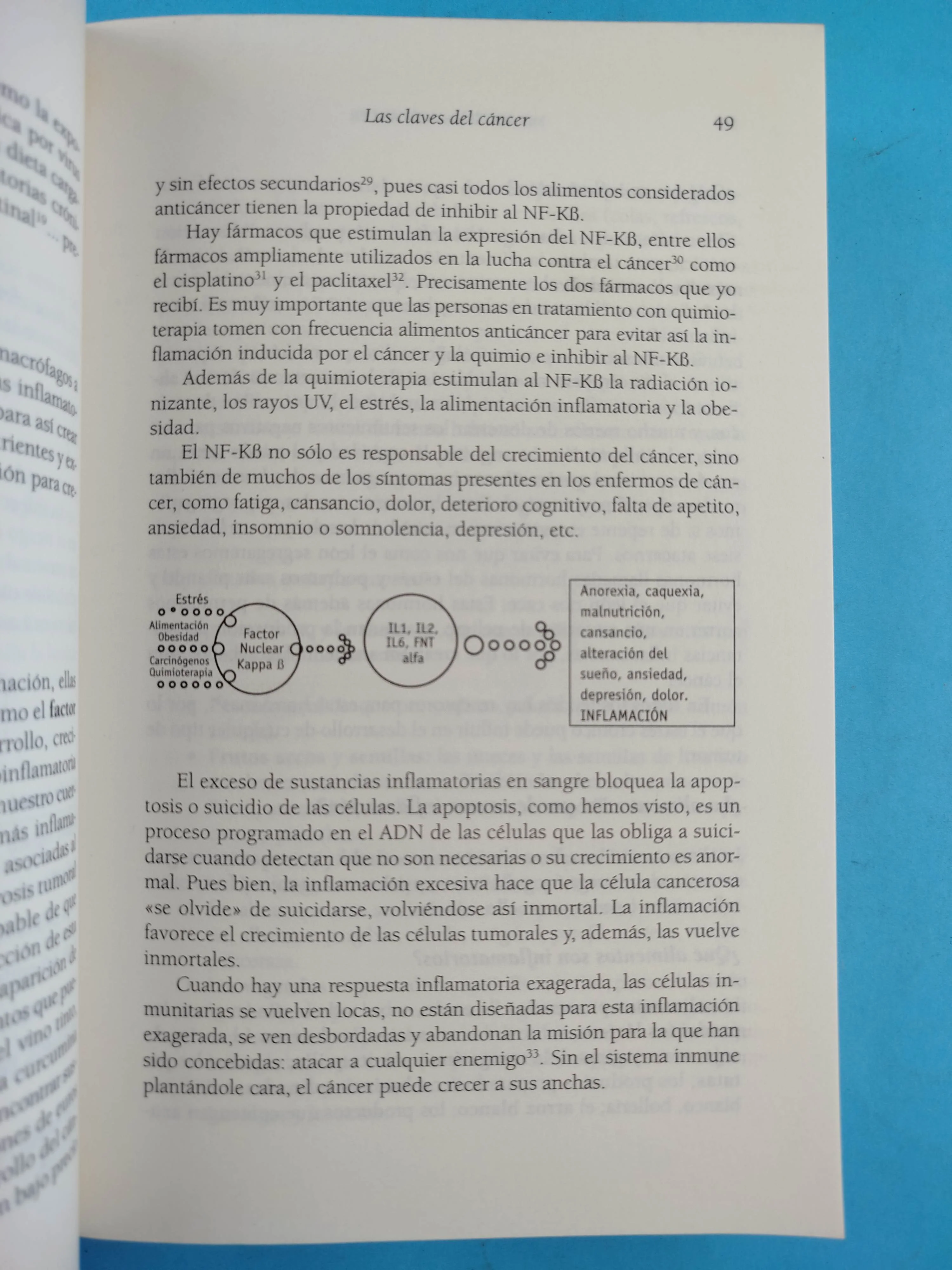 Mis recetas anticáncer: Alimentación y vida anticáncer - Image 4
