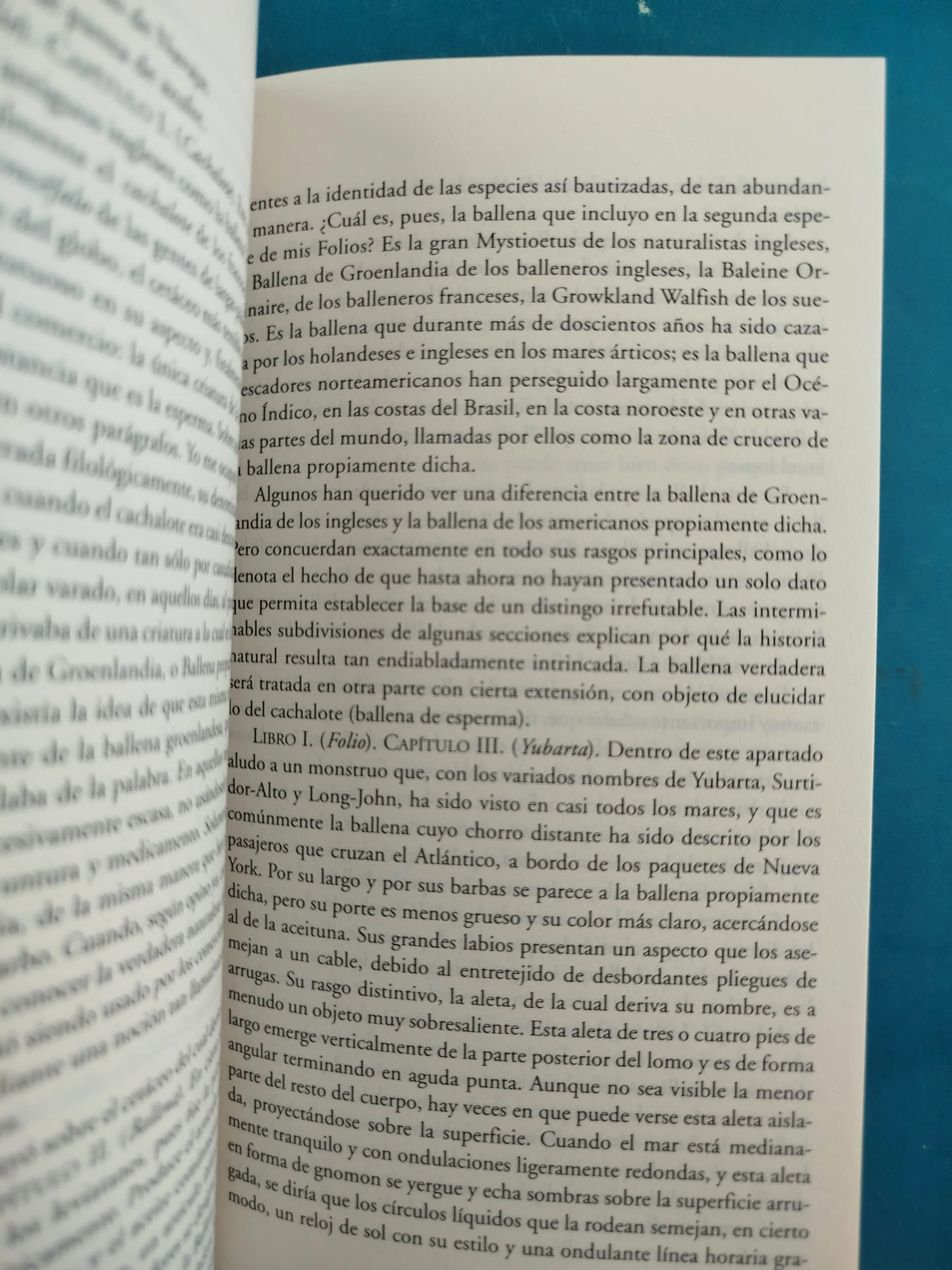 Moby dick - Image 3