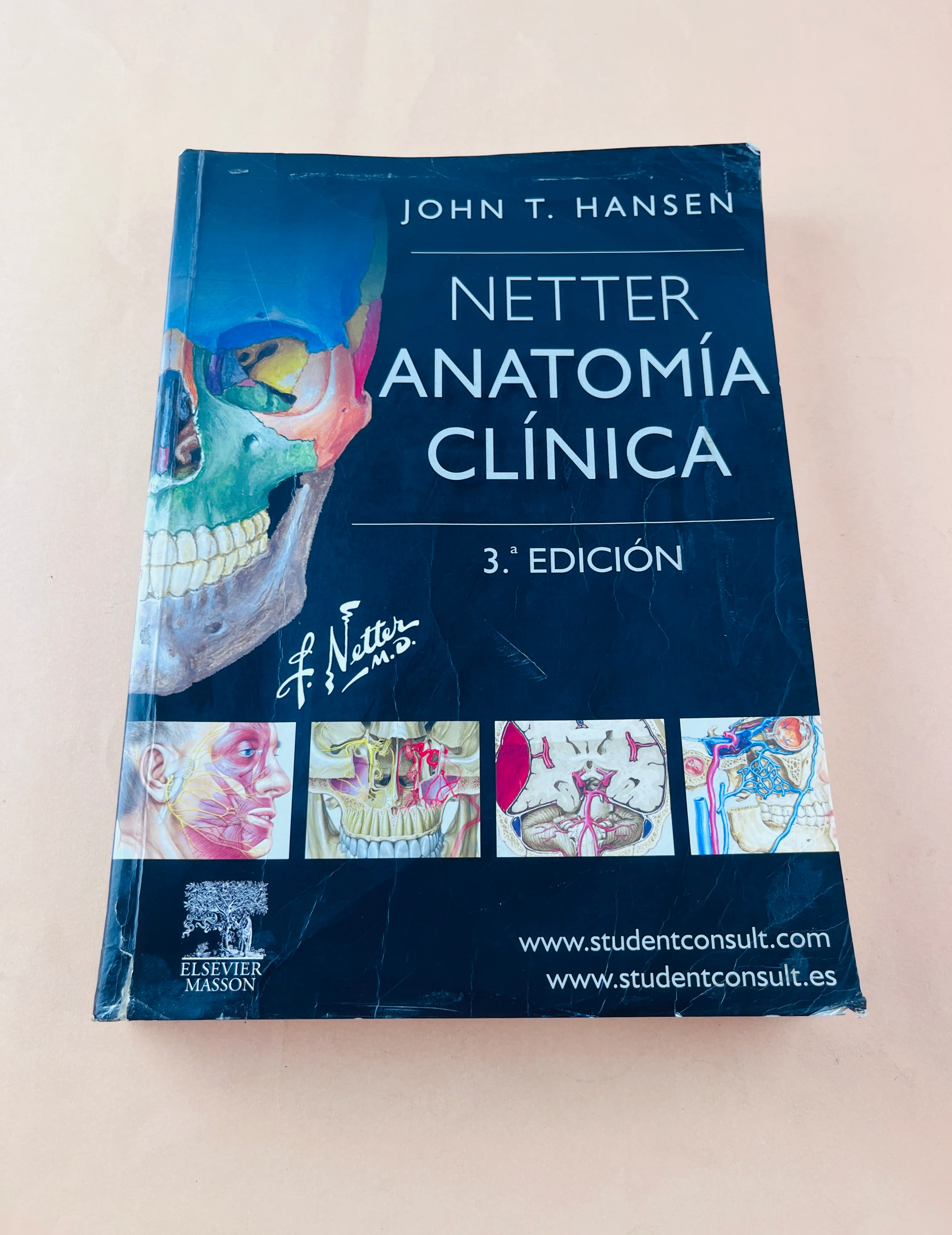 Netter Anatomía clínica tercera edición - Image 2