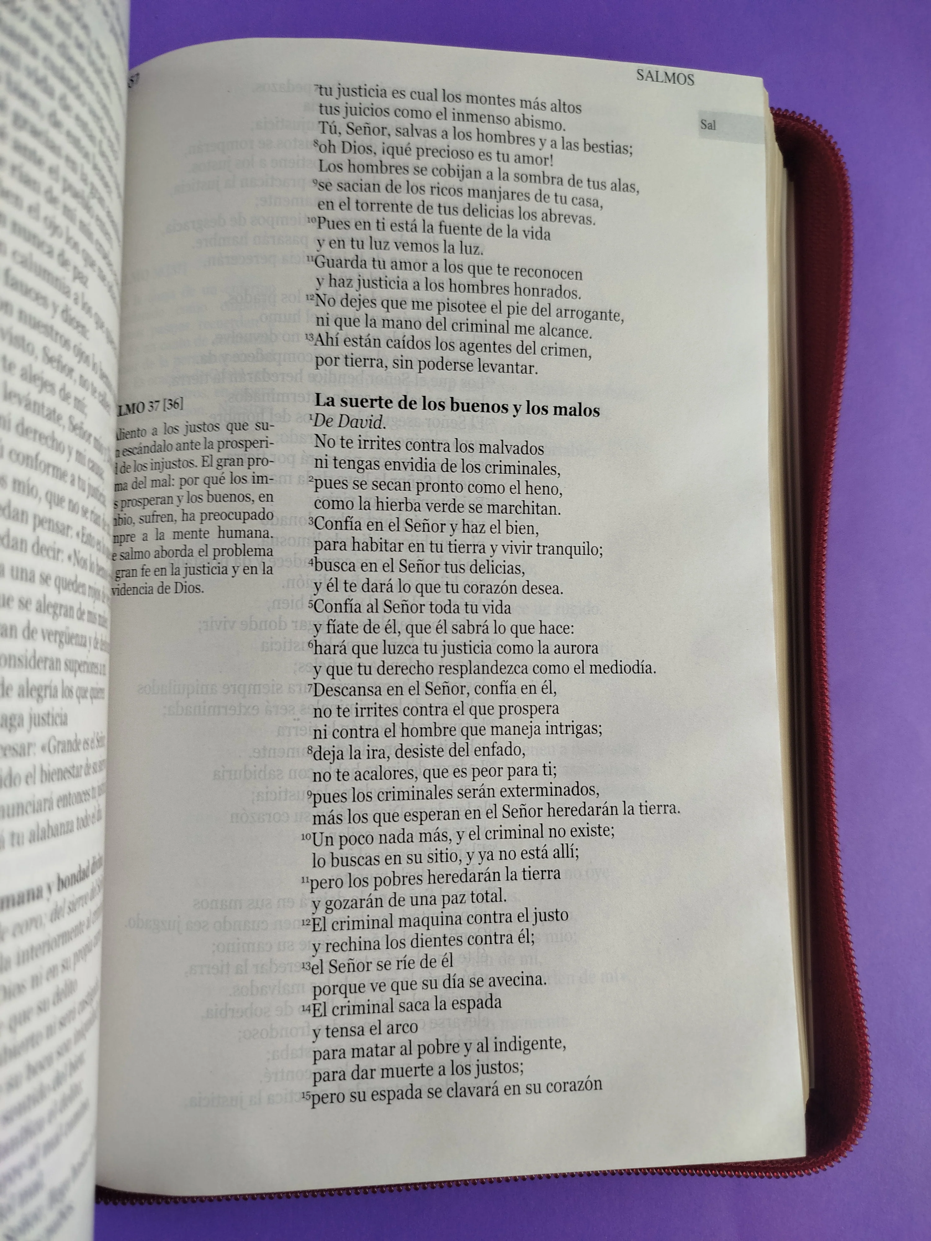 Nuestra sagrada biblia letra grande misión continental roja - Image 2