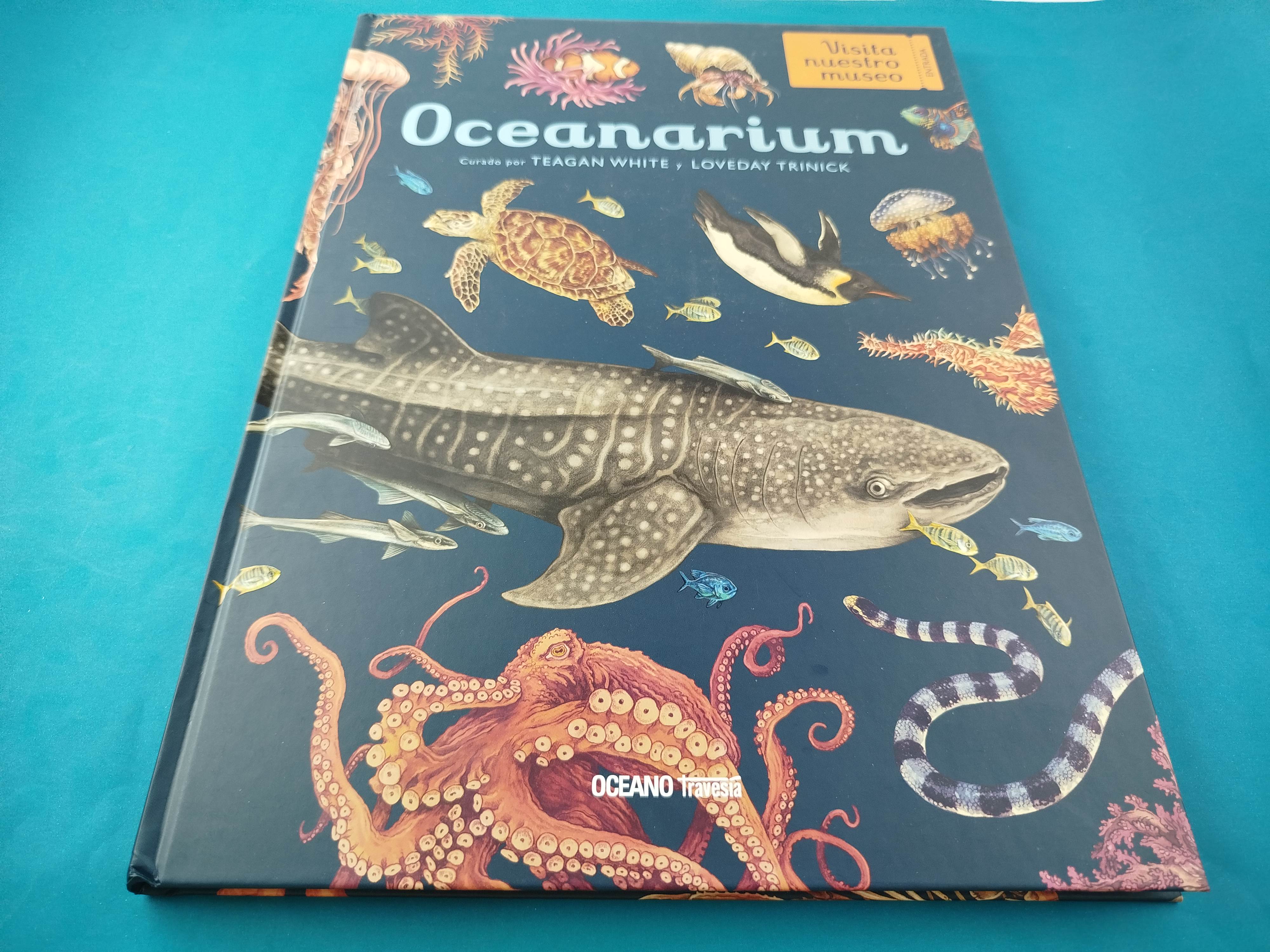 Oceanarium - Image 2