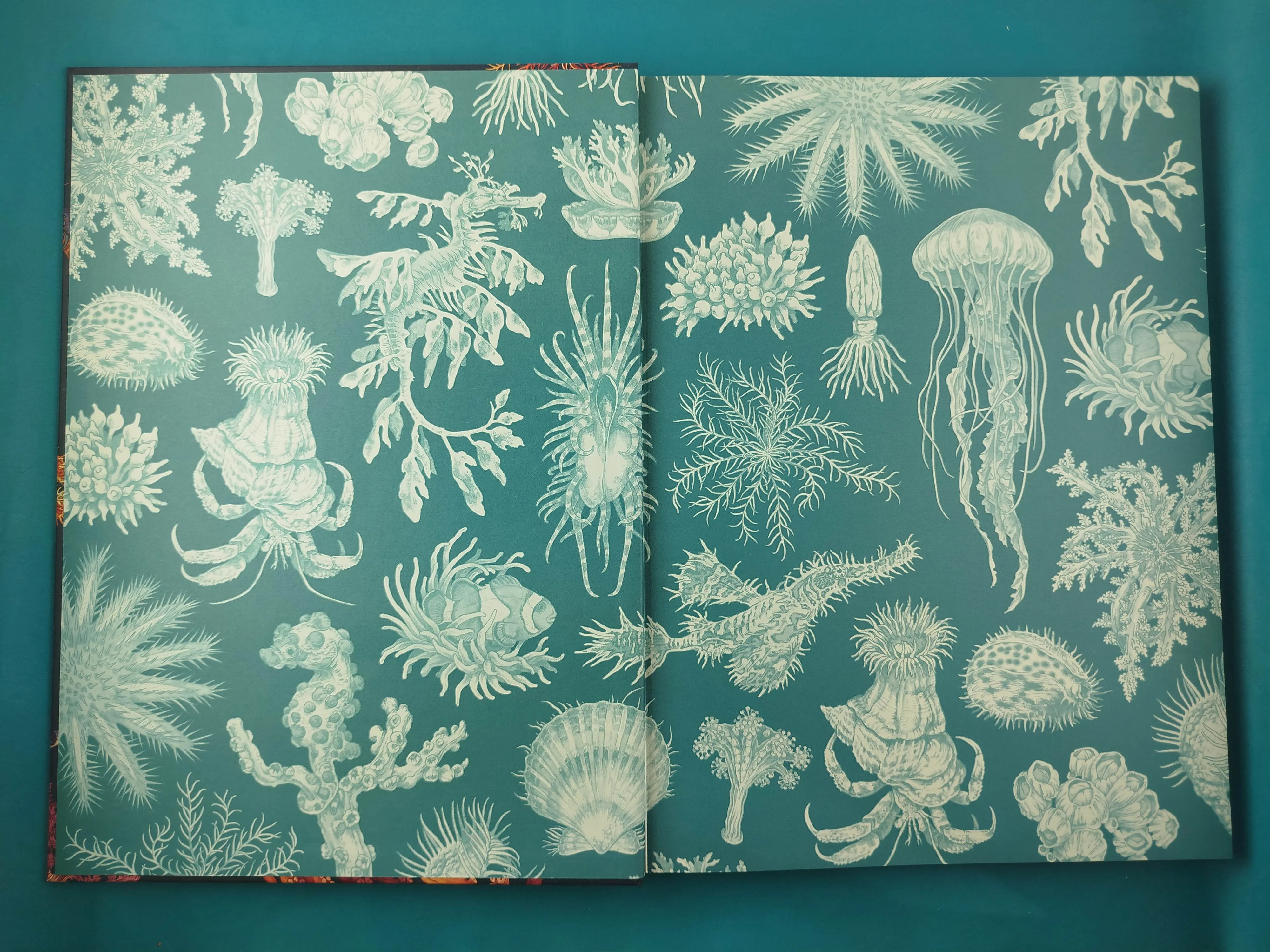 Oceanarium - Image 3