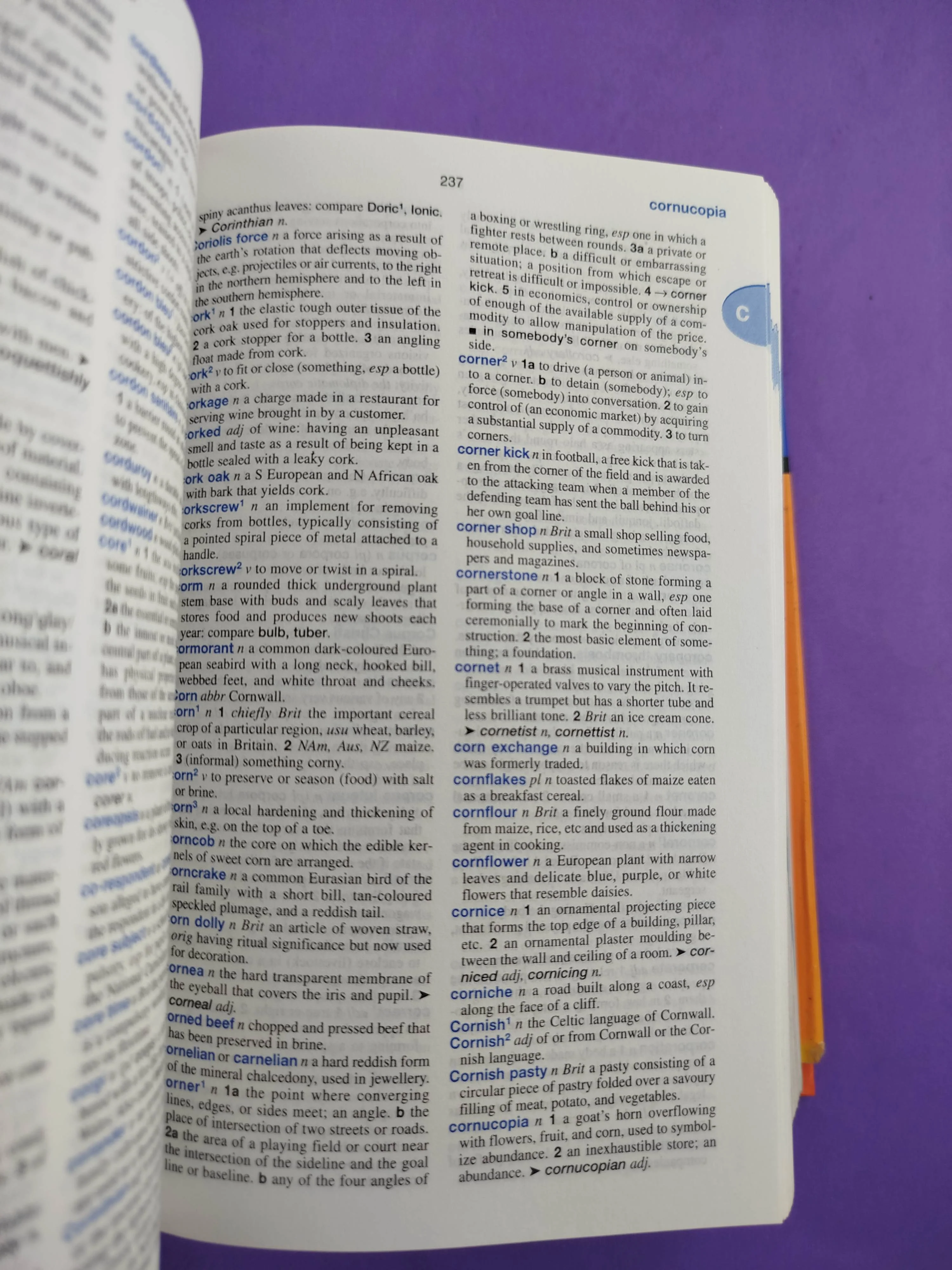 Oceano Compact English Dictionary - Image 3