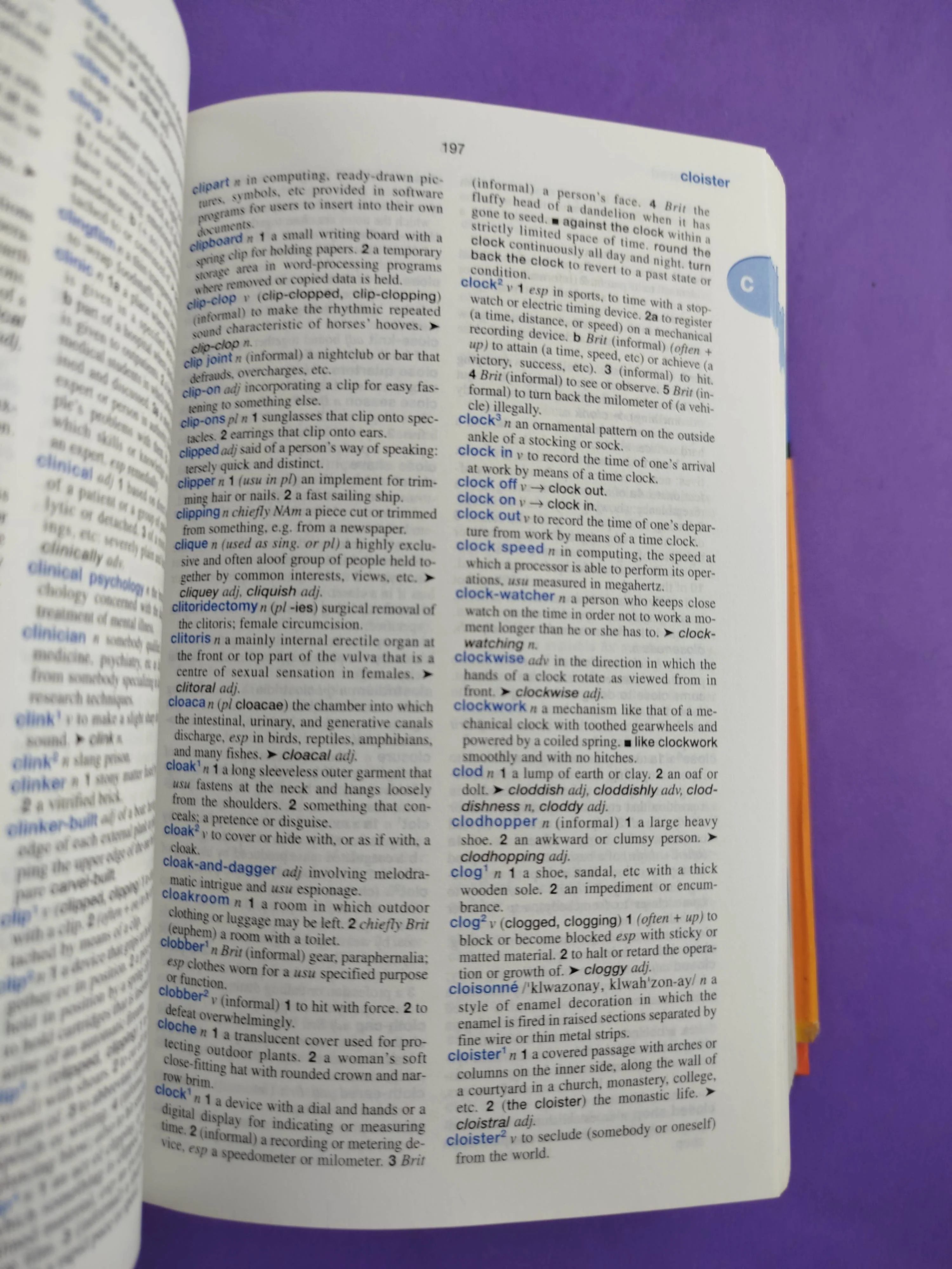 Oceano Compact English Dictionary - Image 4
