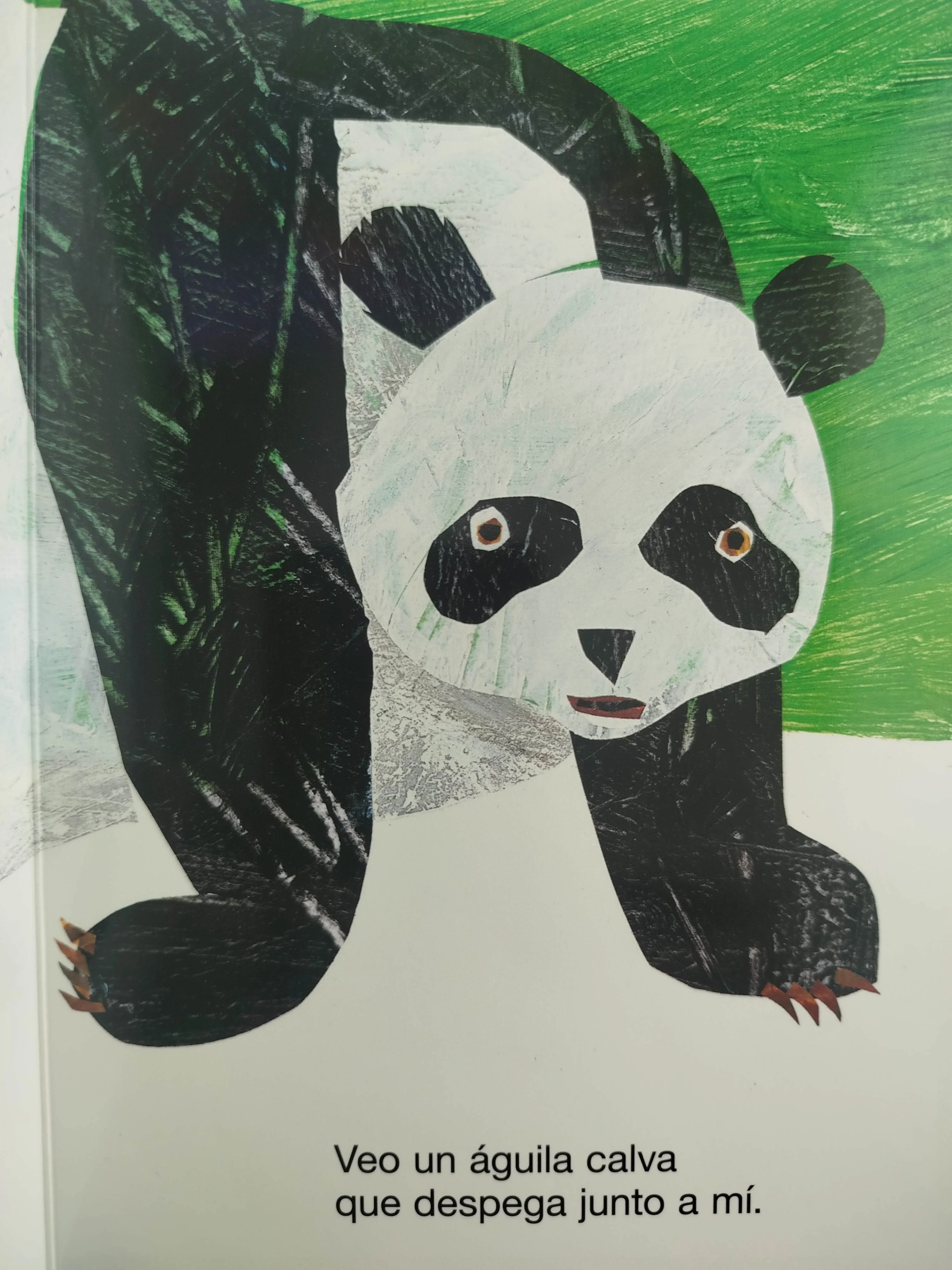 Oso panda, oso panda, ¿qué ves allí? - Image 3