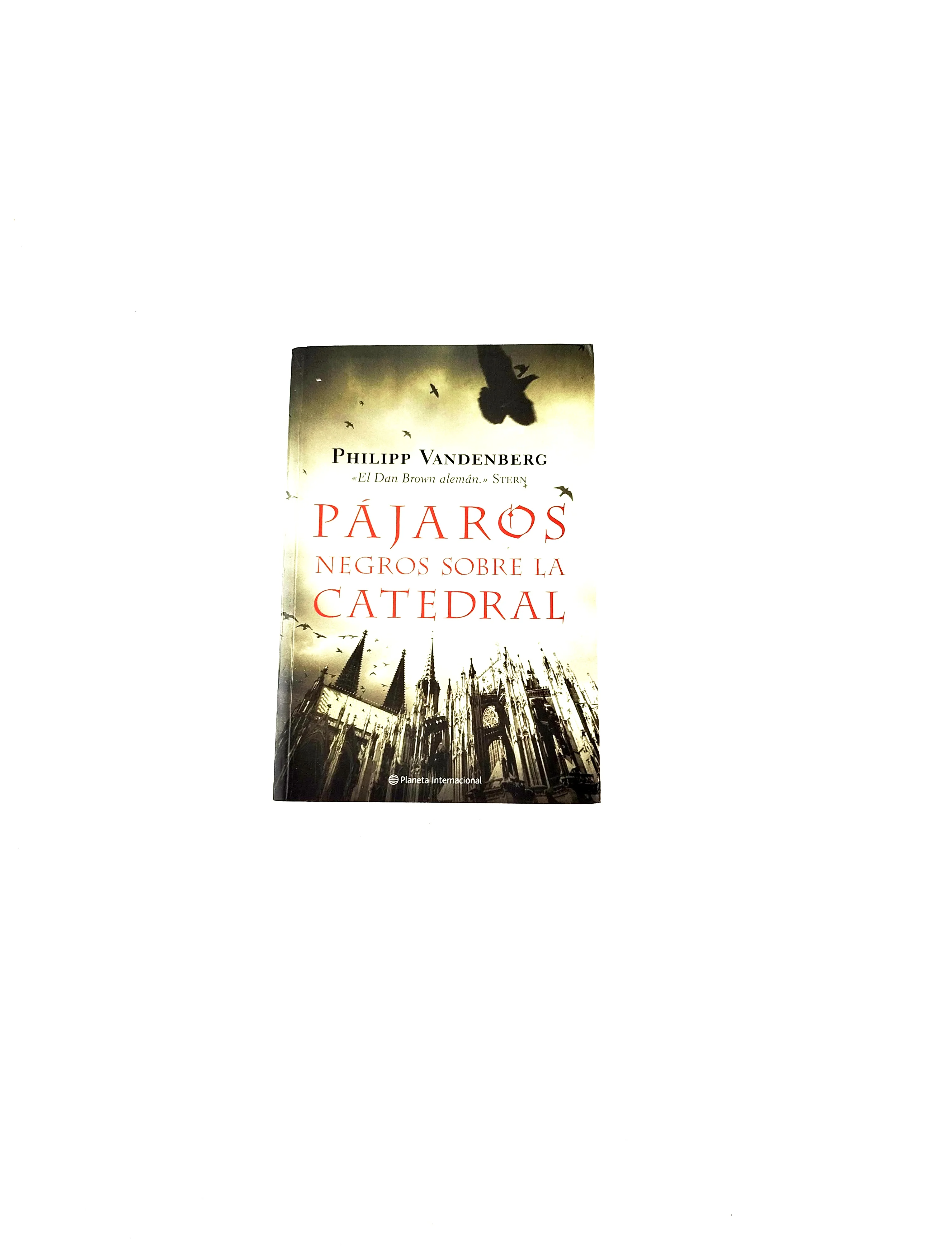 Pájaros negros sobre la catedral