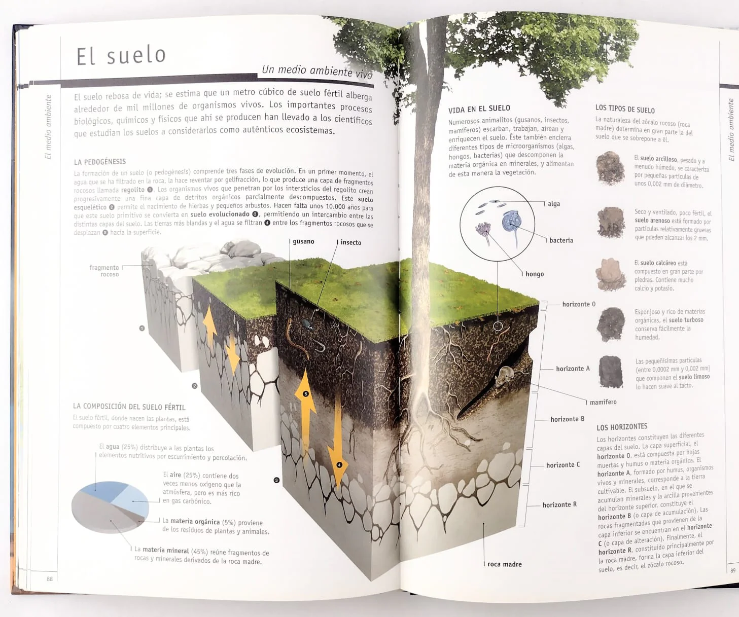 Para Comprender El Clima Y El Medio Ambiente - Image 2